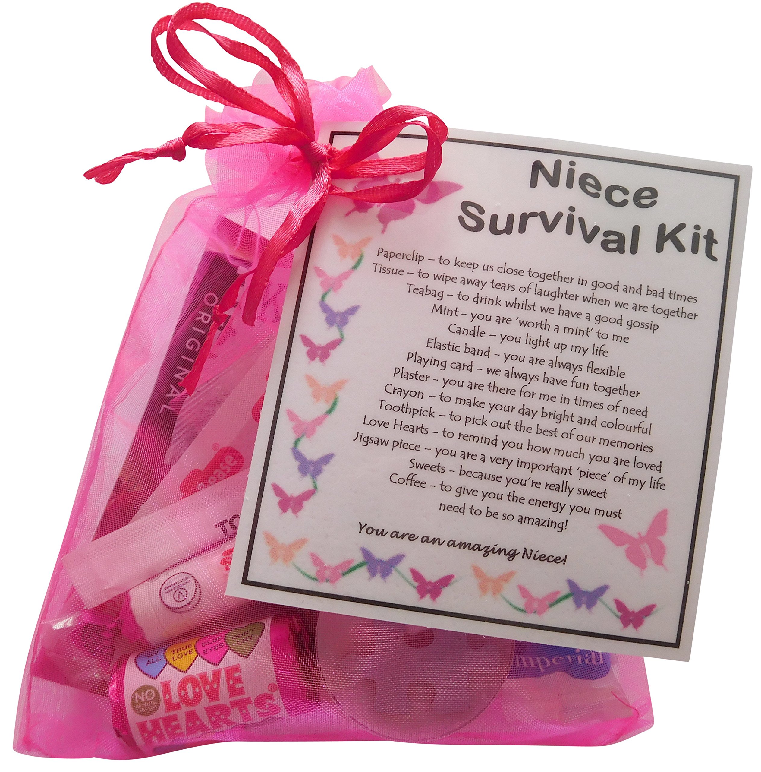 Smile Gifts Uk Pink Niece Survival Kit Gift (Great Present For Birthday, Christmas Or Just Because...) - Niece Gift, Gift For Niece, Niece Present, Present For Niece
