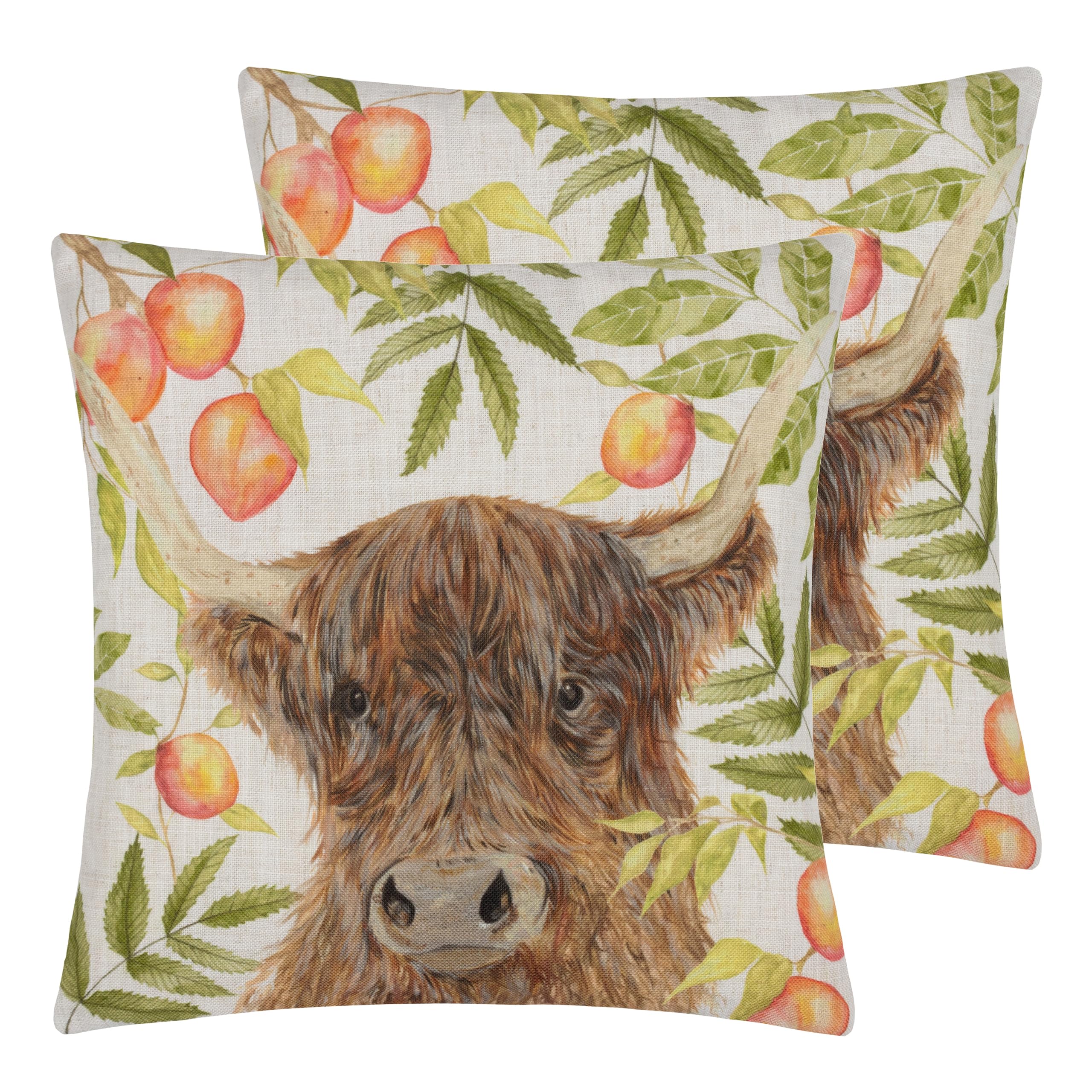 Evans Lichfield Grove Highland Cow Feather Filled Cushion - Twin Pack