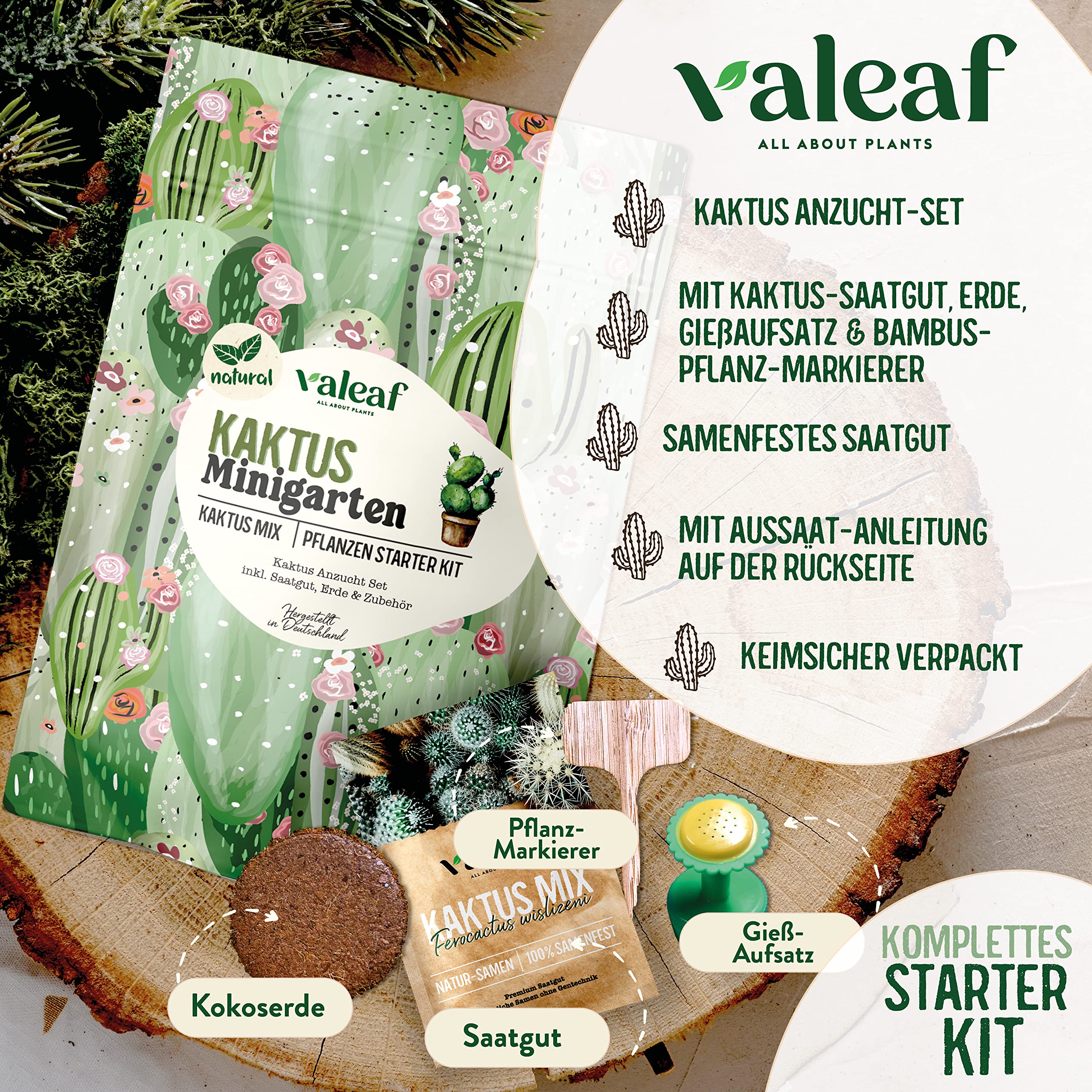valeaf Kakteen Anzuchtset I Zchte deine Kaktus Pflanze I Kakteen Set mit  Kaktus Samen I Mini-Kakteen Starter Kit Pflanzen Set I Kaktus Zuchtset ( Kaktus) : Amazon.de: Garten