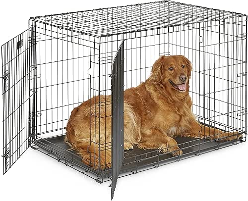 MidWest Homes for Pets 42-Inch Two-Door iCrate Folding Dog Crate