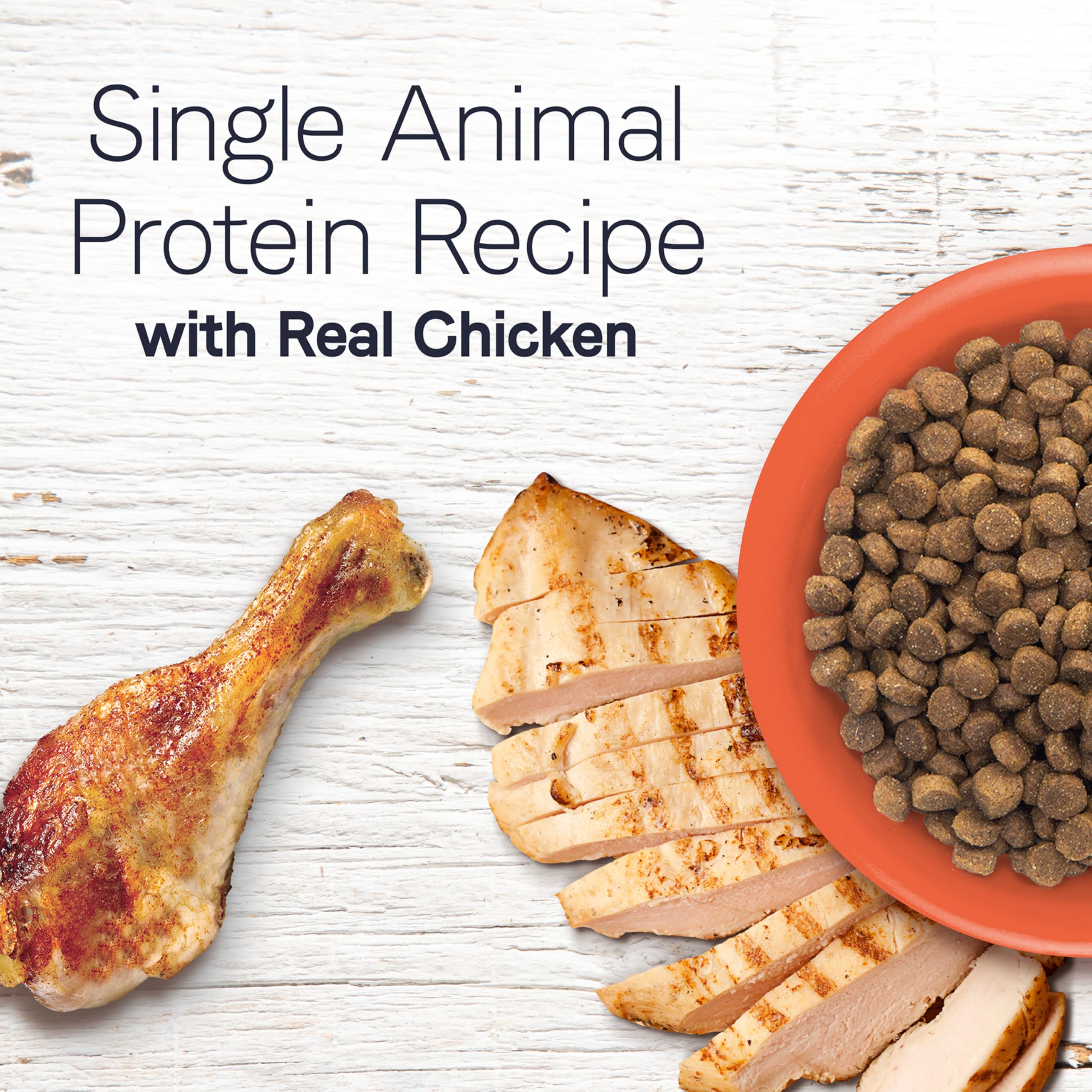 Amazon.com: Canidae Under the Sun Premium Dry Dog Food For Puppies