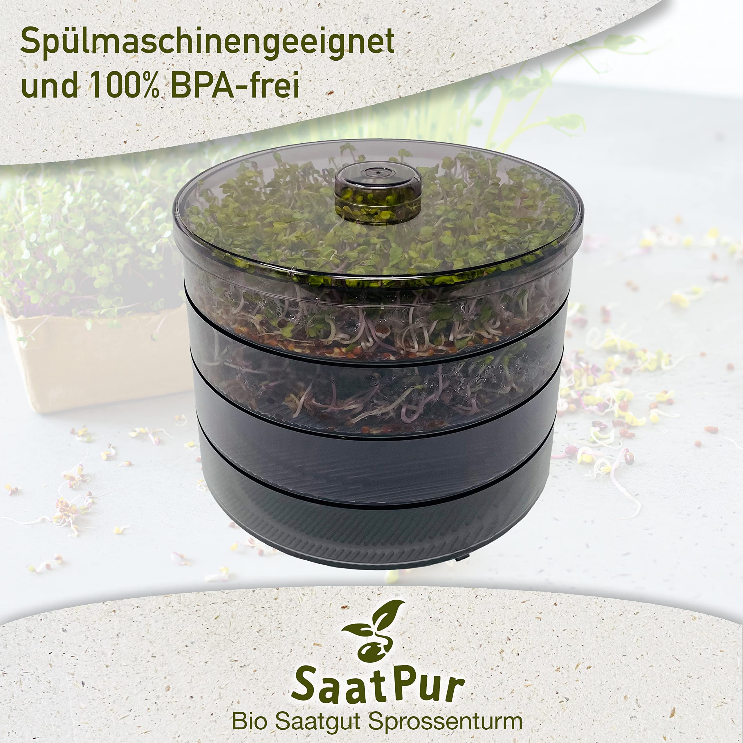 KIT VETRO GERMINALE Con 2 Bicchieri A Collo Largo Set Di Coltivazione Germogli Di Soia Anz1317 - Foto 4