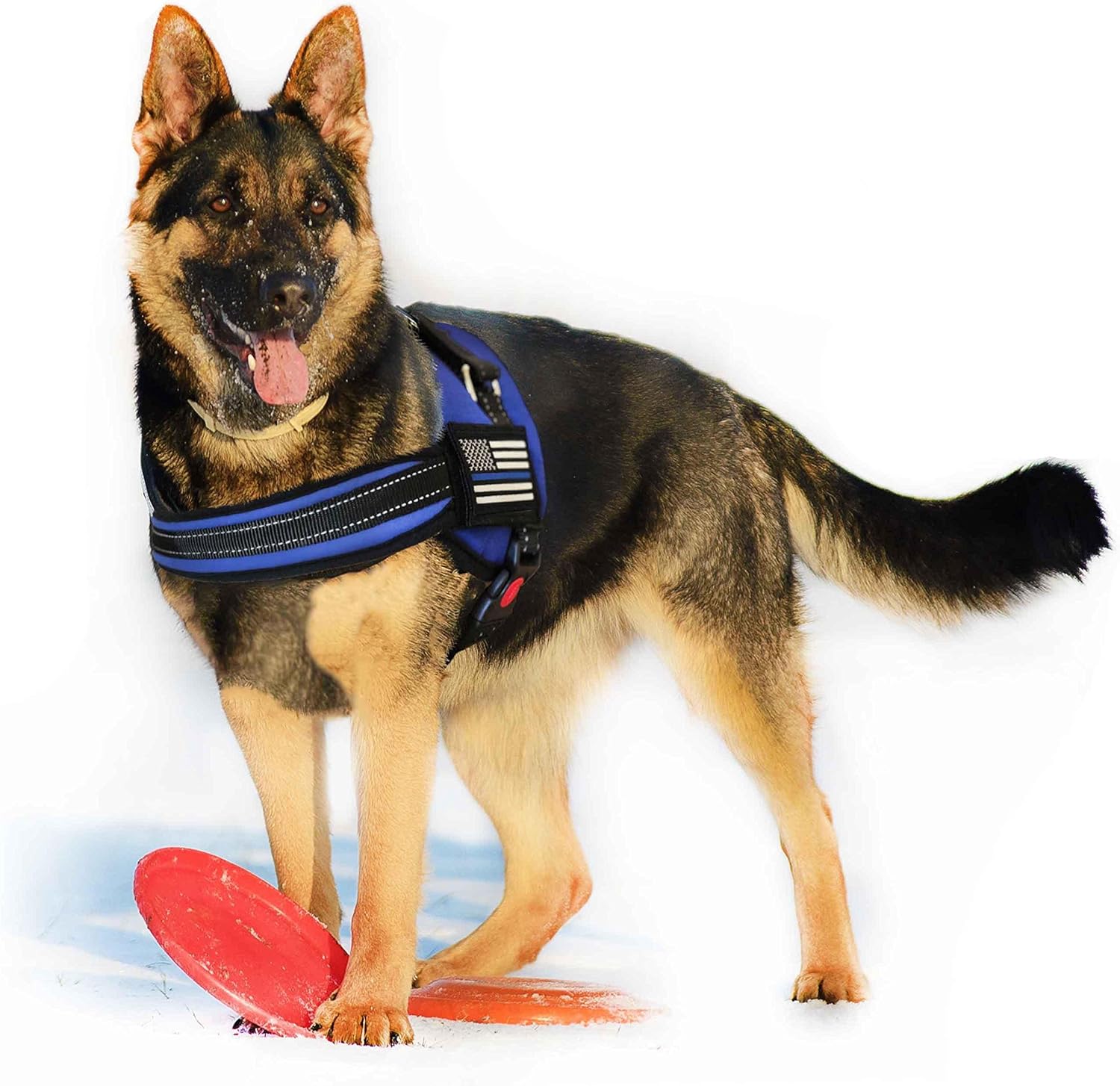 german shepherd harness amazon