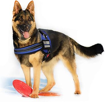 Thin Blue Line USA Dog Harness Small
