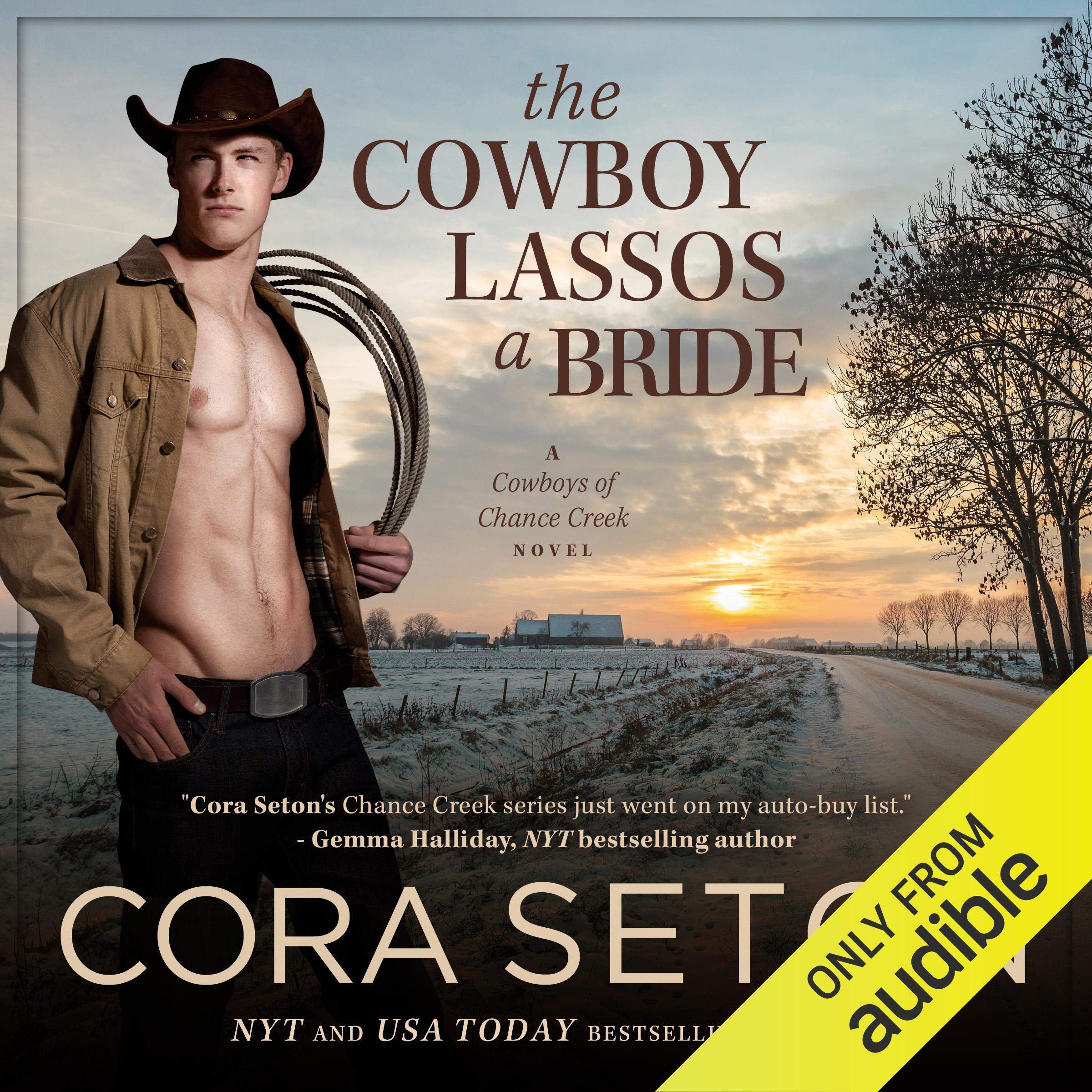 Cover art for The Cowboy Lassos a Bride