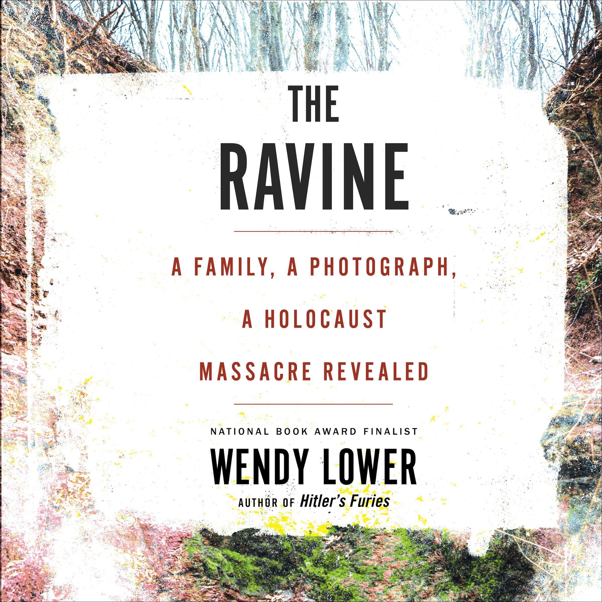 Cover art for The Ravine