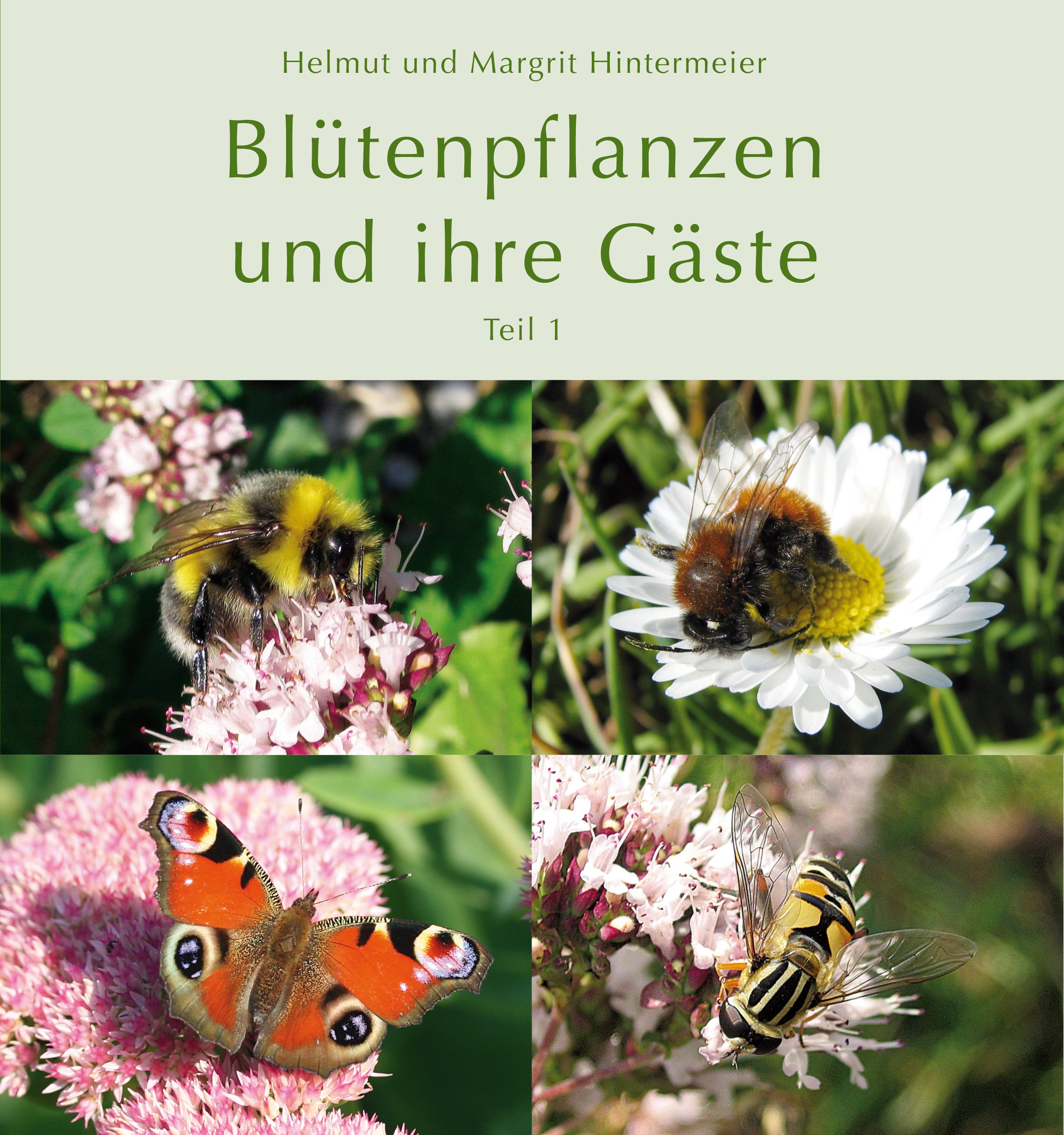Blütenpflanzen und ihre Gäste (Teil 1)