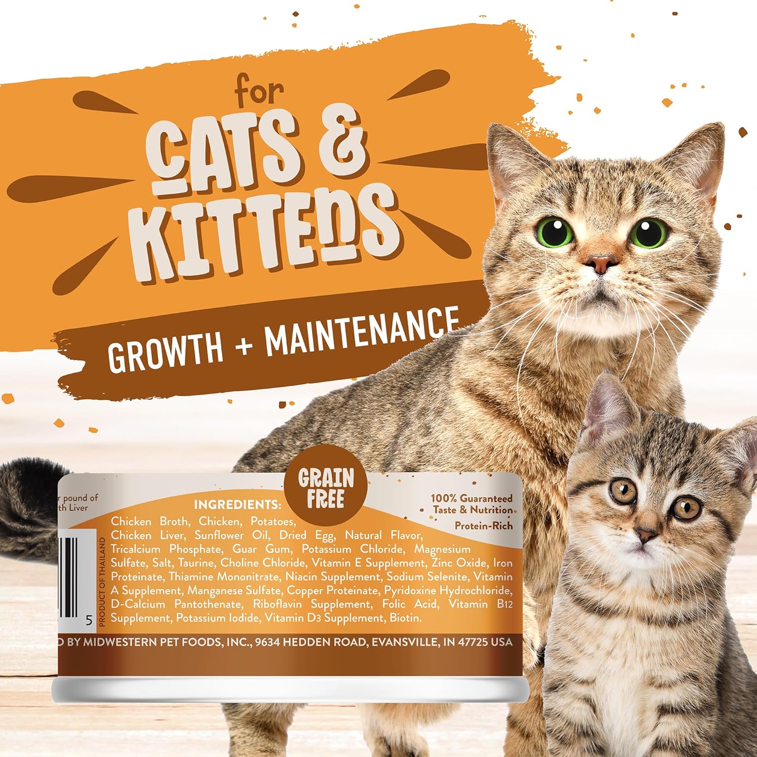 Earthborn Holistic Chicken Jumble with Liver Grain-Free Moist Cat Food 5.5 oz Can