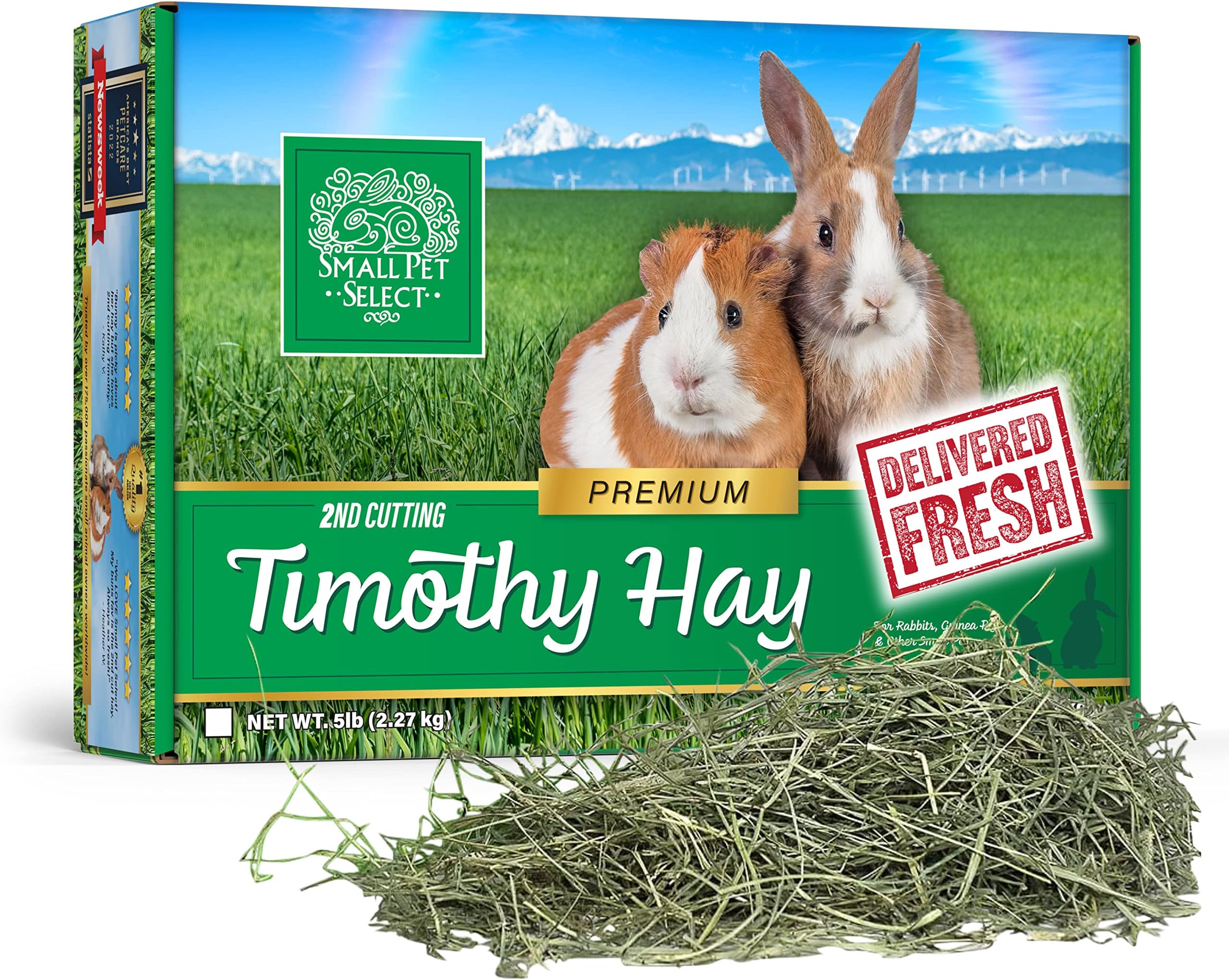 Small Pet Select 2nd Cutting Timothy Hay for Rabbits & Guinea Pigs, 5 lb | Perfect Blend Premium Hay, Grown in USA, Supports Digestion & Dental Health, For Chinchillas, Bunnies, Hamsters & Small Pets