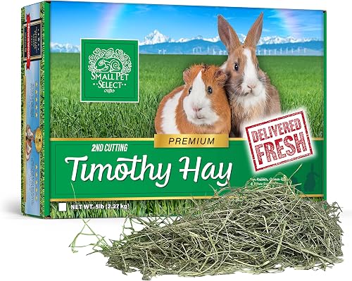 Small Pet Select 2nd Cutting Perfect Blend Timothy Hay, Food for Guinea Pig, Rabbit, Hamster, Bunny, Chinchilla, or Other Small Animals, Natural Hay Grown in The USA, 5lb