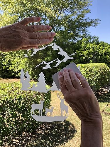 Miniatura 8 de DCentral® Vinilo decorativo para ventana, diseño de flores, 8 x 12 pulgadas, con texto en inglés "Etched" (8 x 12 pulgadas), los objetos son opacos,