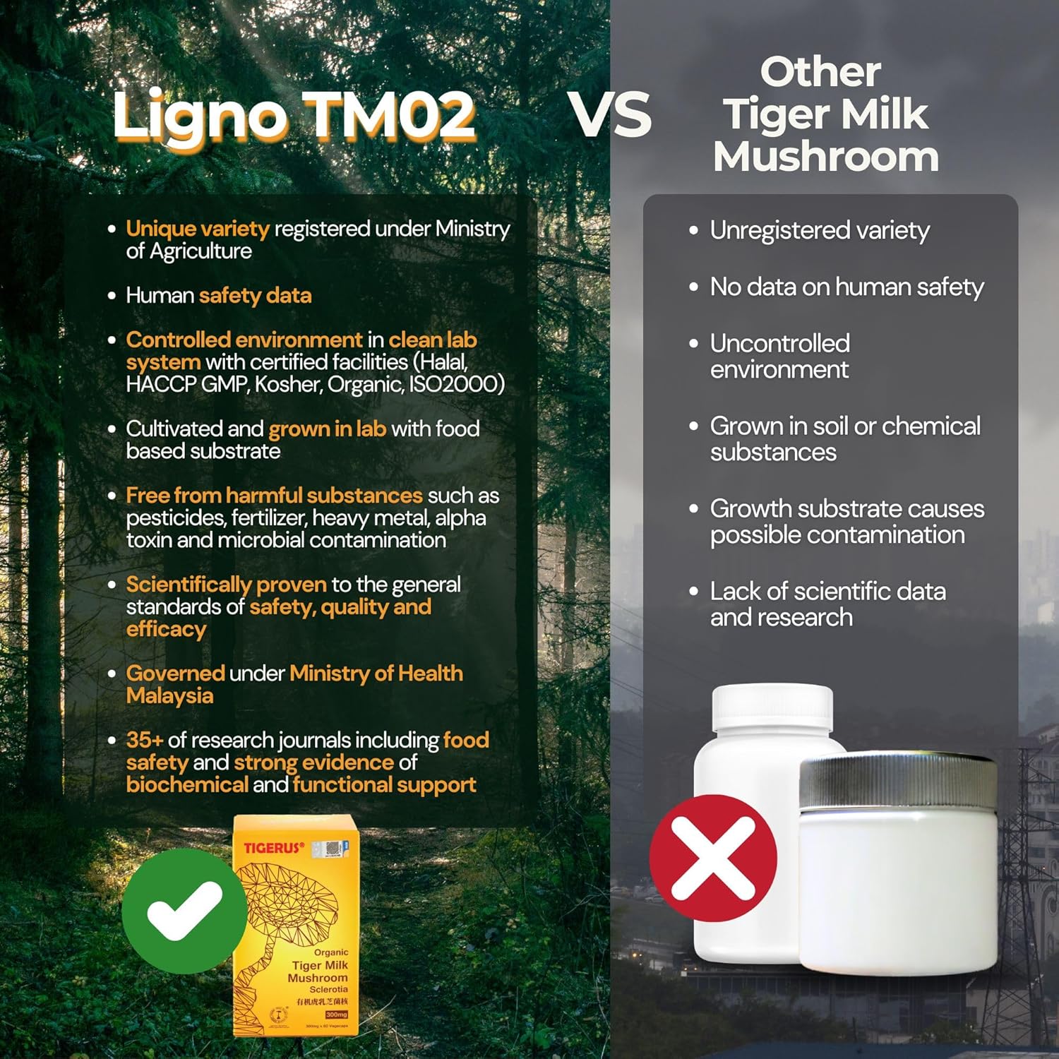 Tiger Milk Mushroom (LiGNO TM02® Lignosus rhinocerus Sclerotia) Malaysia, Lung Respiratory Immune Support 420mg x 60 vegecap
