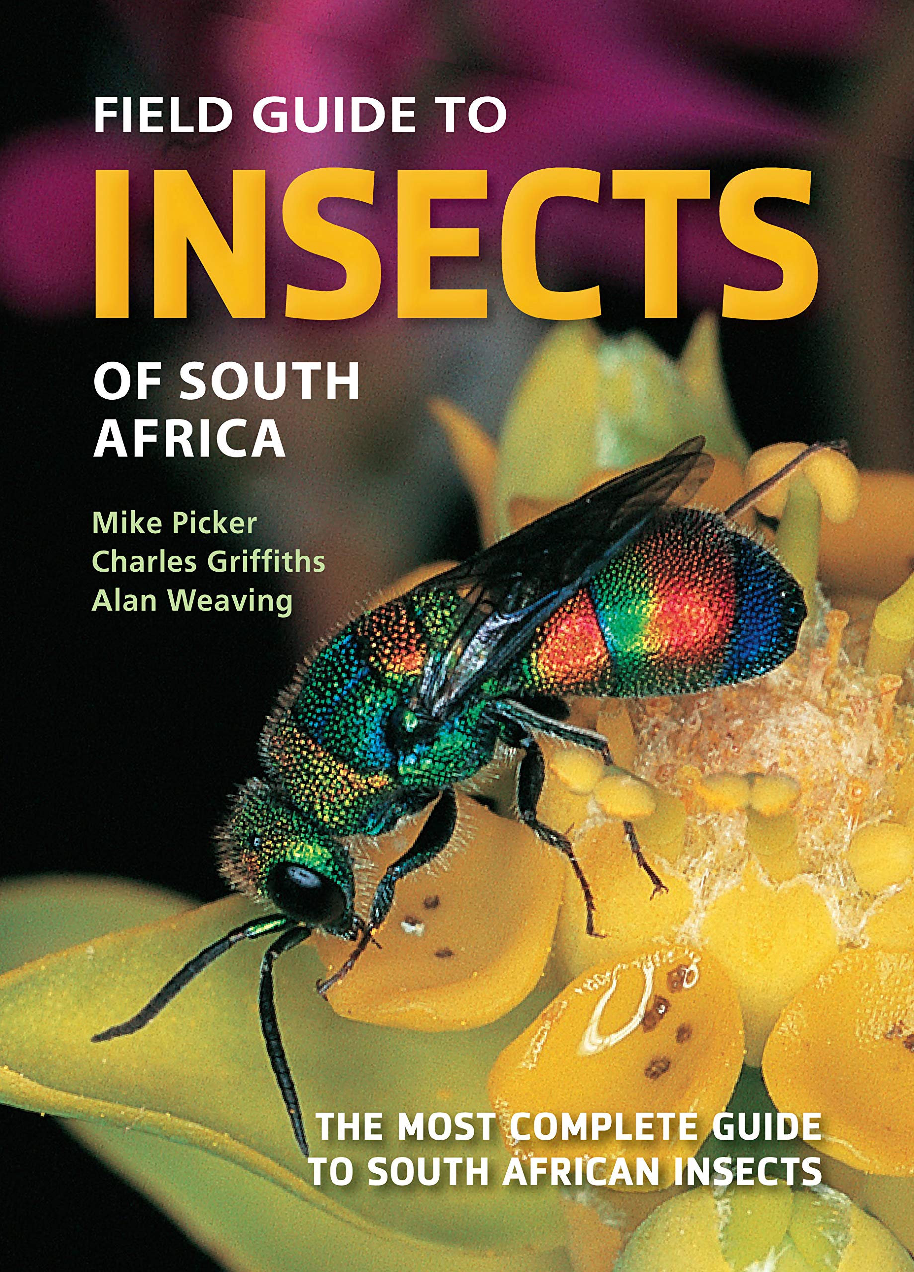 Buy Field Guide to Insects of South Africa The most complete guide to