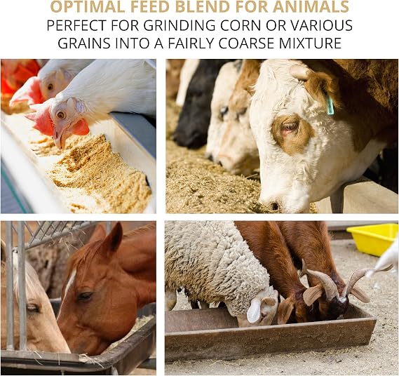 Handheld Iron Grain Mill - Manual Mill Food Grinder Hand Crack Corn Grinder Crank Grains Oats Corn Wheat Coffee Nuts Malt Mill Hand Operated Corn Grinder with High Hopper