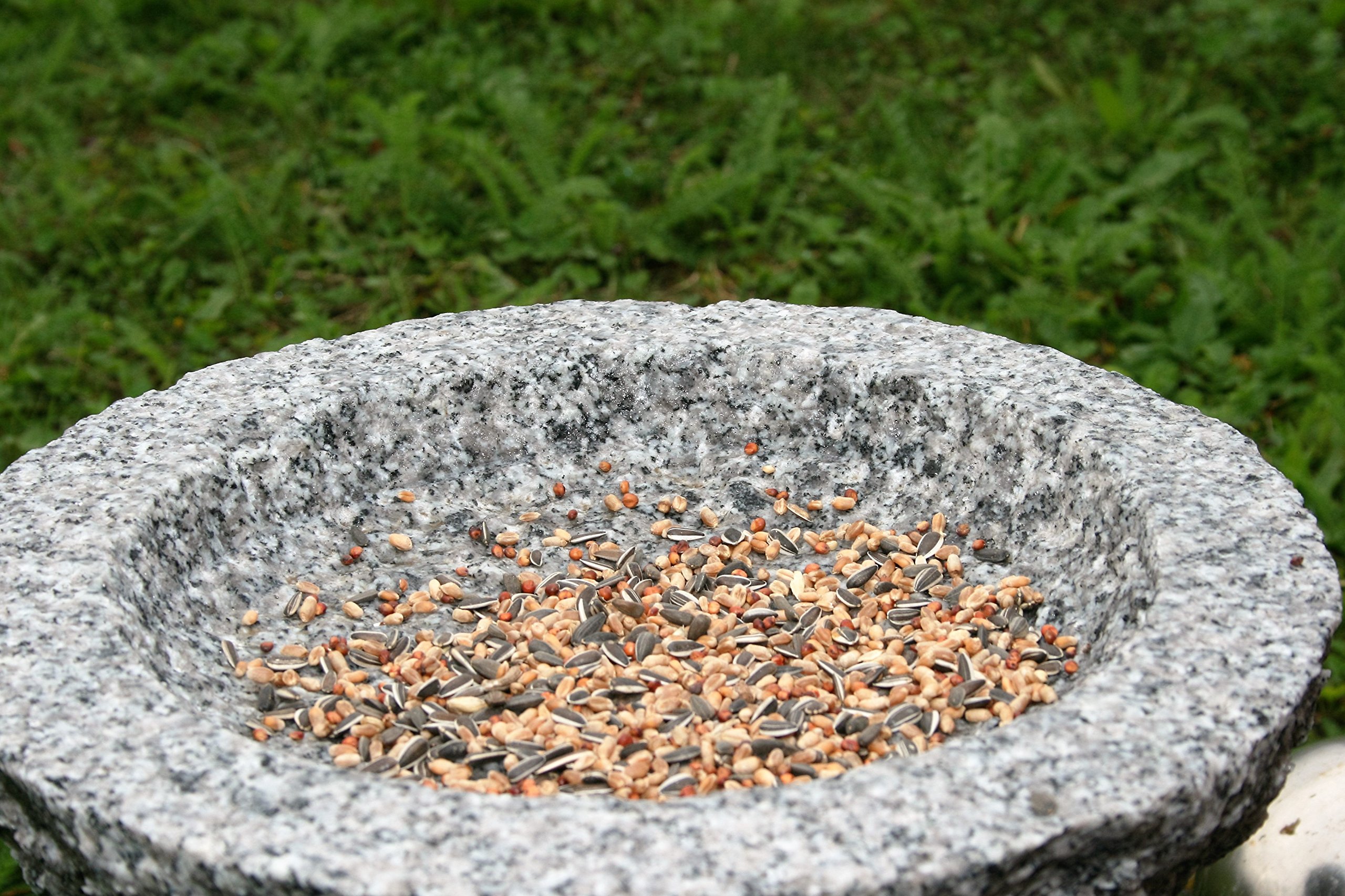 Vogelbad aus Granit mit Fuß (Ohne Steinvogel am Rand sitzend)