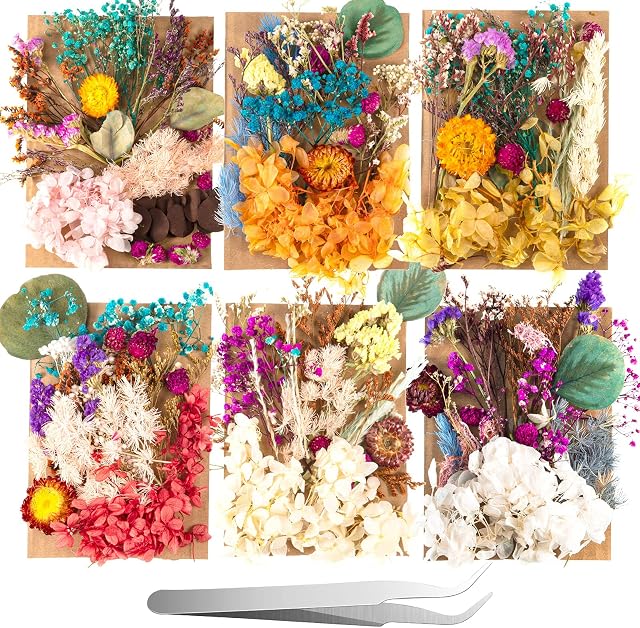 2 Random Boxes Dried Flowers for Resin Real Dried Flower Natural Multiple Dry Flower Leaves Mixed Natural Pressed Flower Colorful Real Dry Flower with Tweezers for Resin Jewelry DIY Making Wedding