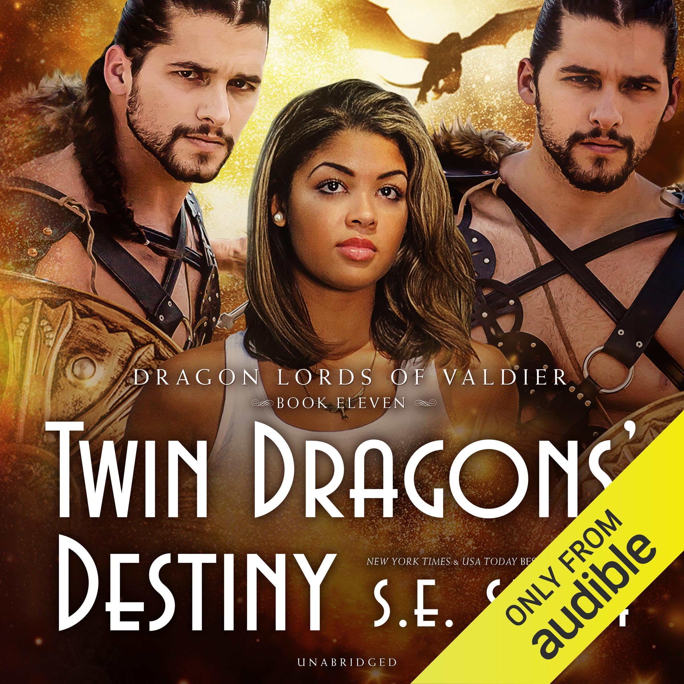 Cover art for Twin Dragons' Destiny