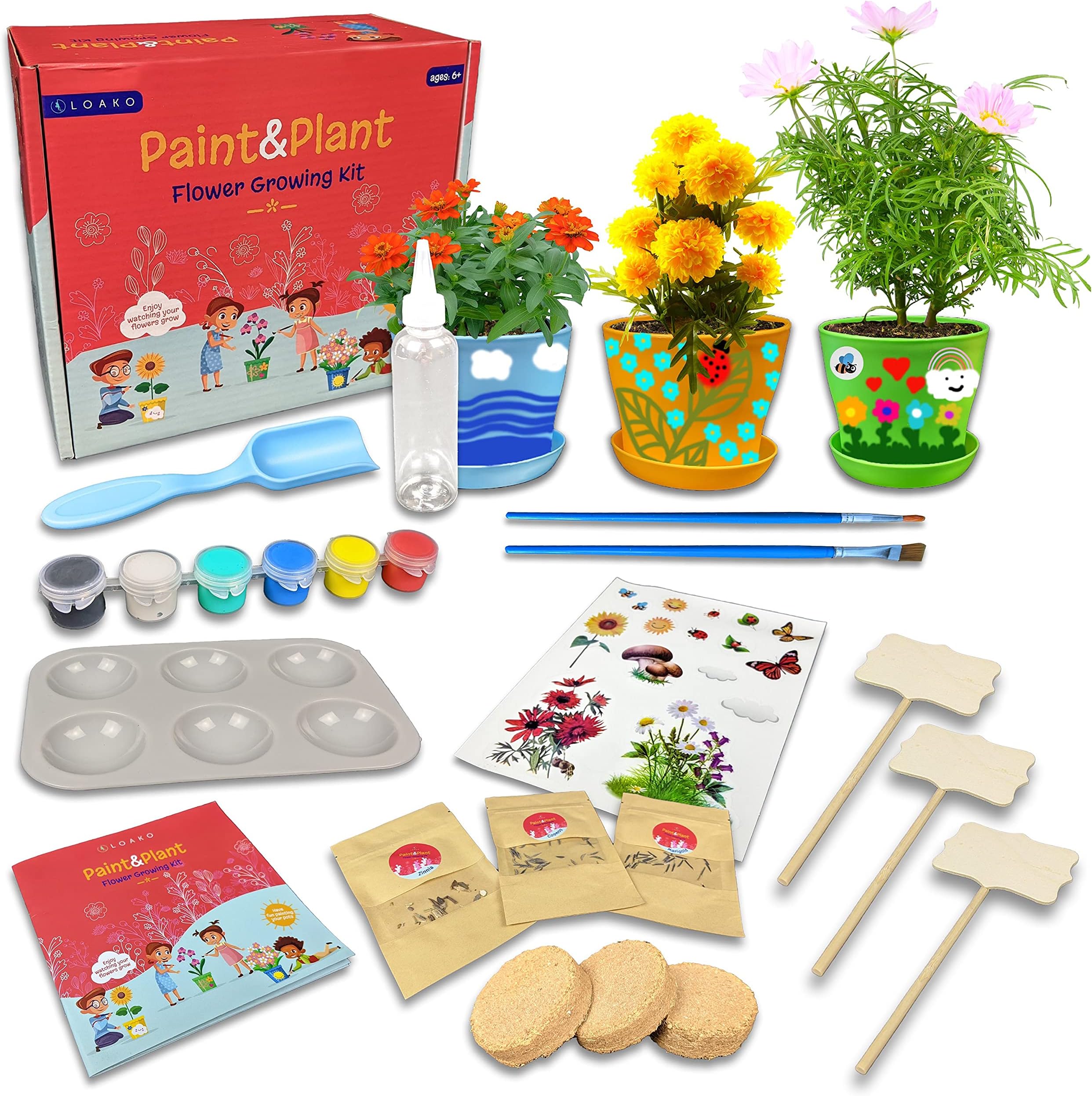 Paint and Plant Flower Growing Kit for Kids - Kids Gardening Set Gifts for Girls and Boys Ages 6-12 Year Old- Arts and Crafts for Girls and Boys - Grow Your Own Flowers - Paint and Grow Craft Kit