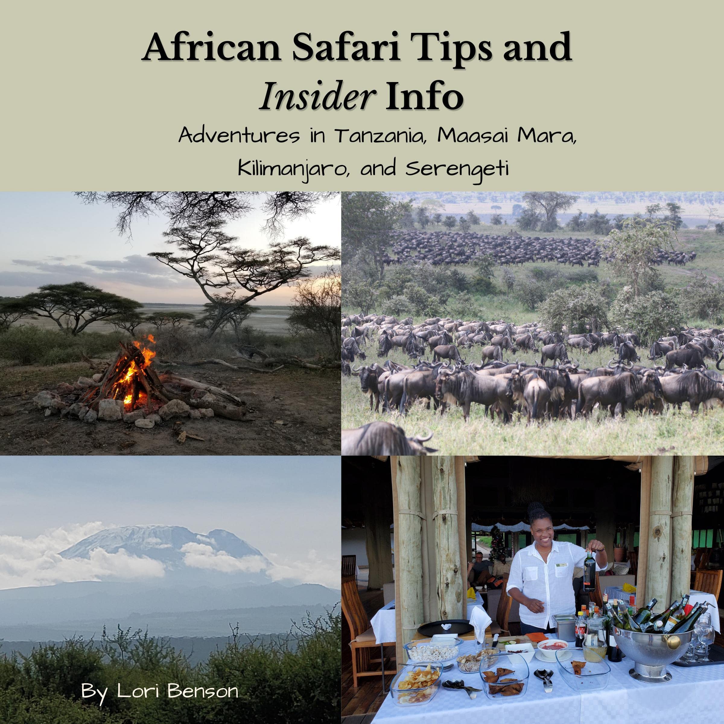 Cover art for African Safari Tips and Insider Info