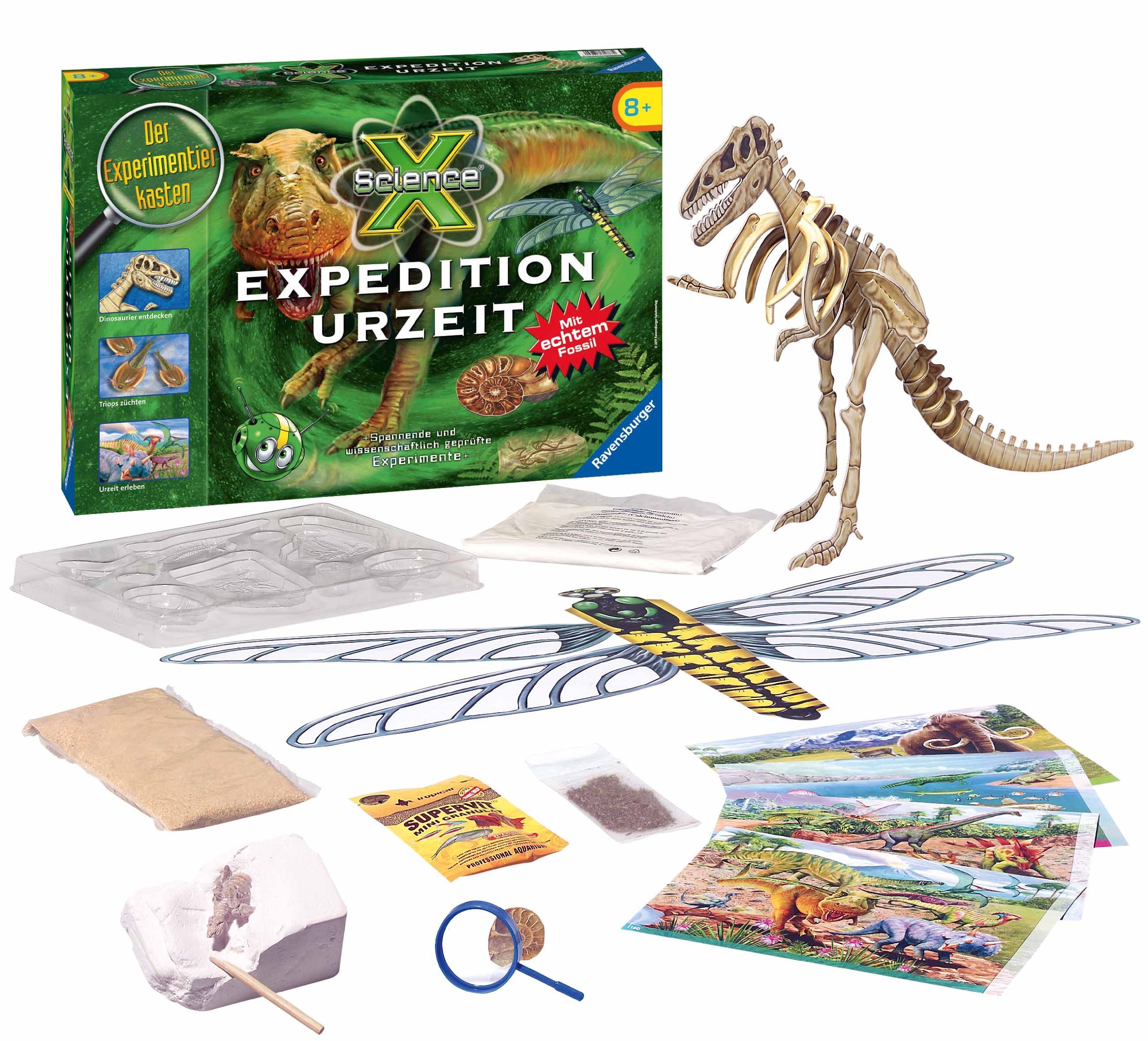 Ravensburger - Juguete Educativo de arqueología (18880) (versión en alemán)
