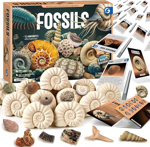 Gamerside Fossil Digging Kit, 12 Real Fossils & Dino Bones