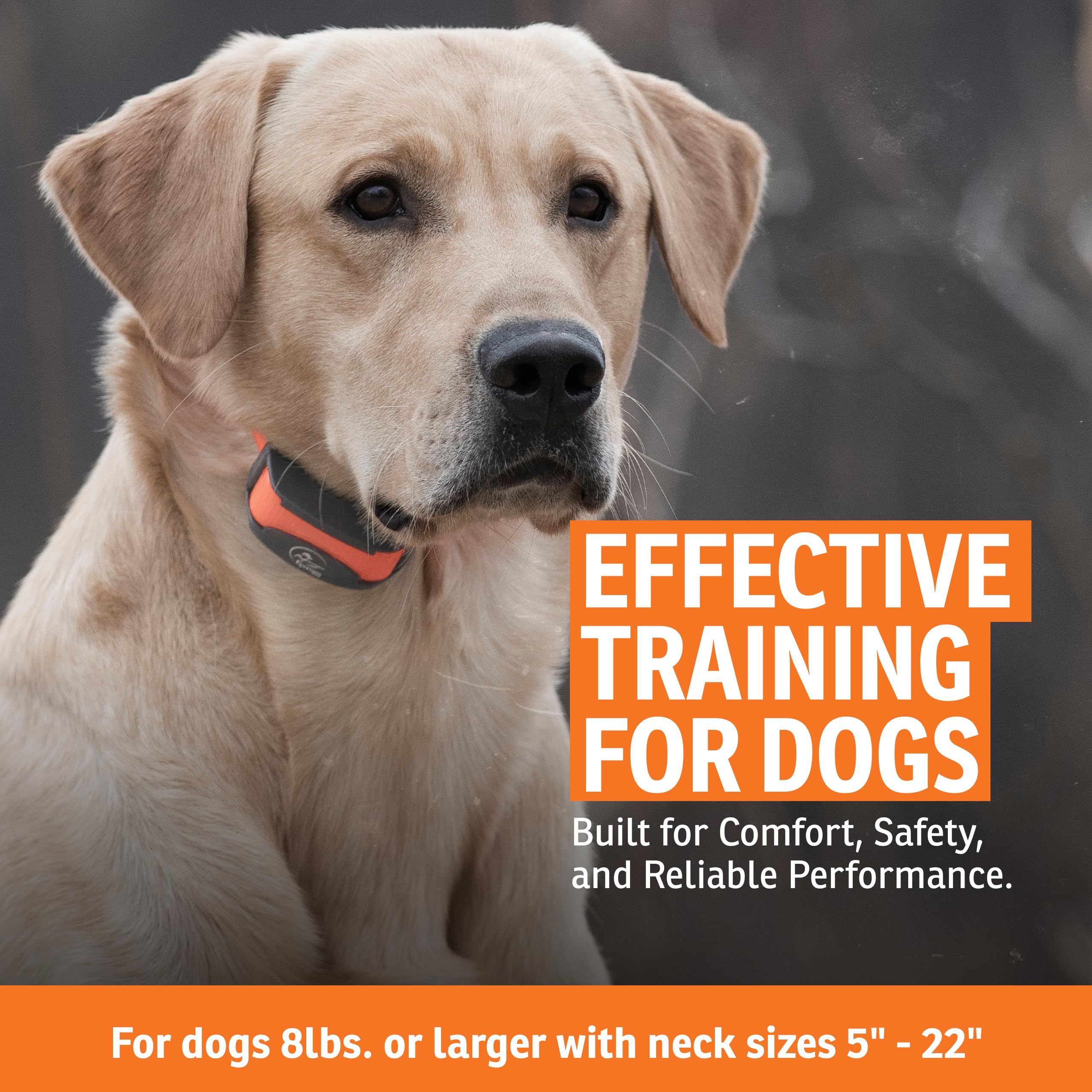 SportDOG - Collier de Dressage pour Chien avec Télécommande SportTrainer, Submersible, 10 Niveaux de Stimulation Statique, Vibration et Signal Sonore - Rechargeable - Portée 800 m