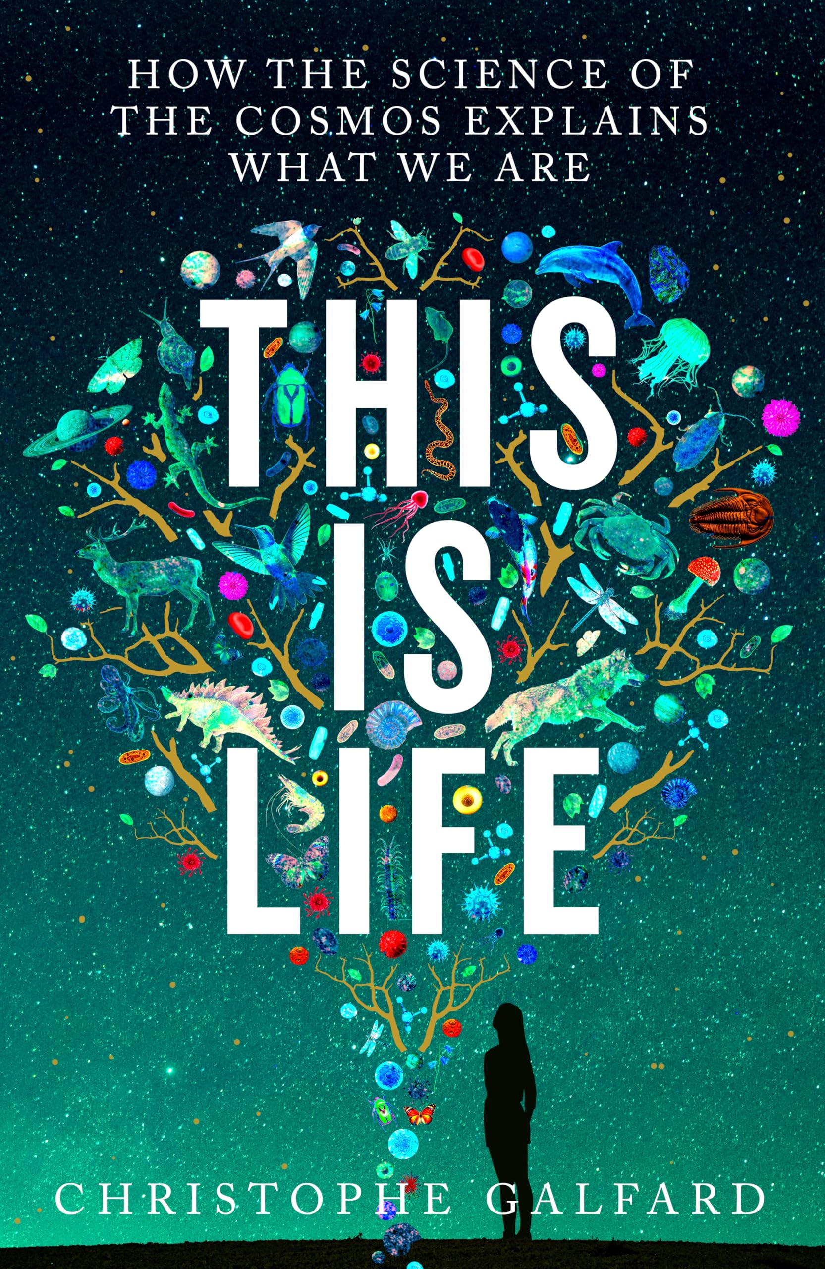 This Is Life: From the acclaimed author of the international bestseller The Universe in Your Hand