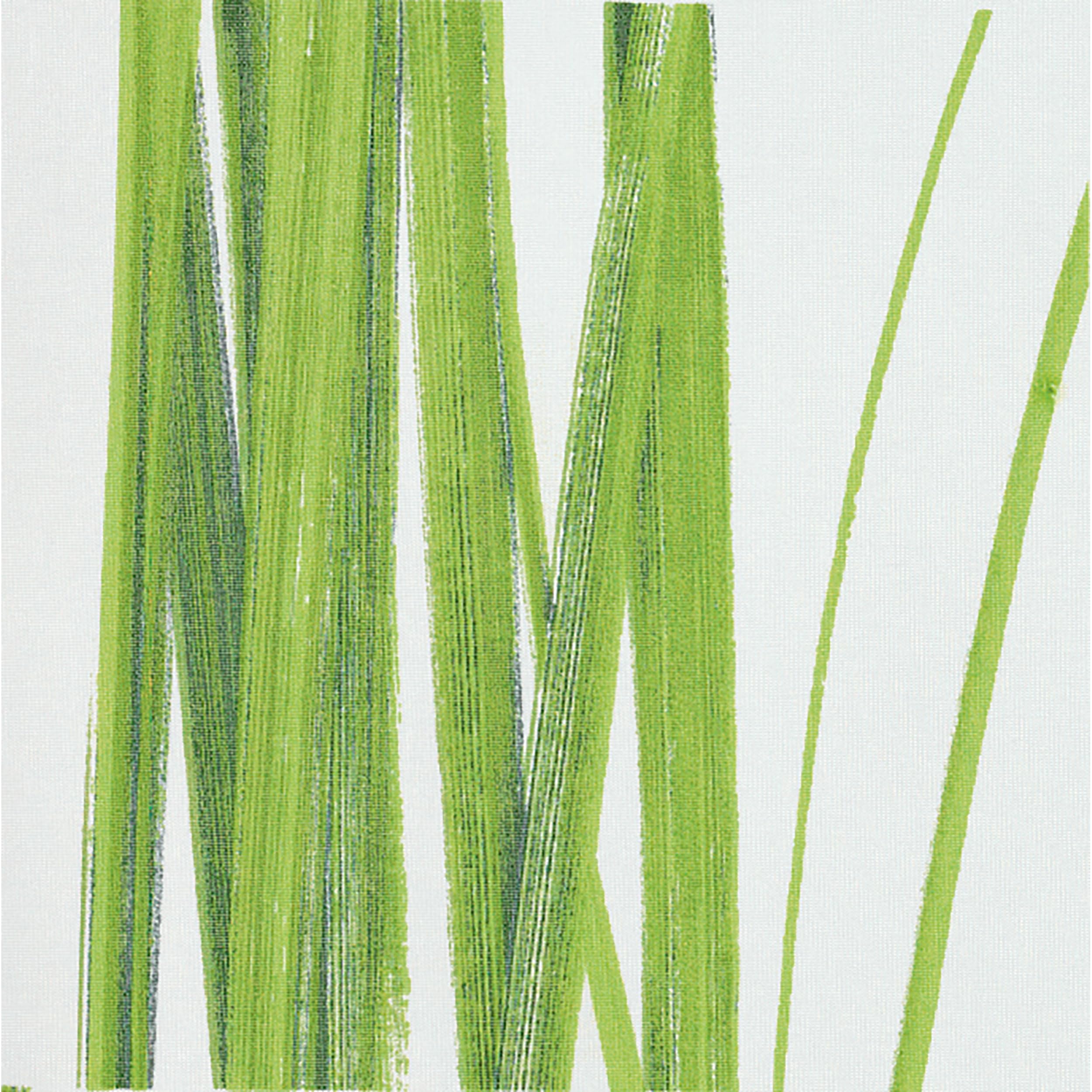 Spirella Anti-Schimmel Duschvorhang - Anti-Bakteriell, waschbar, wasserdicht, Polyester, „Seegras“ 180x200cm Weiß Grün