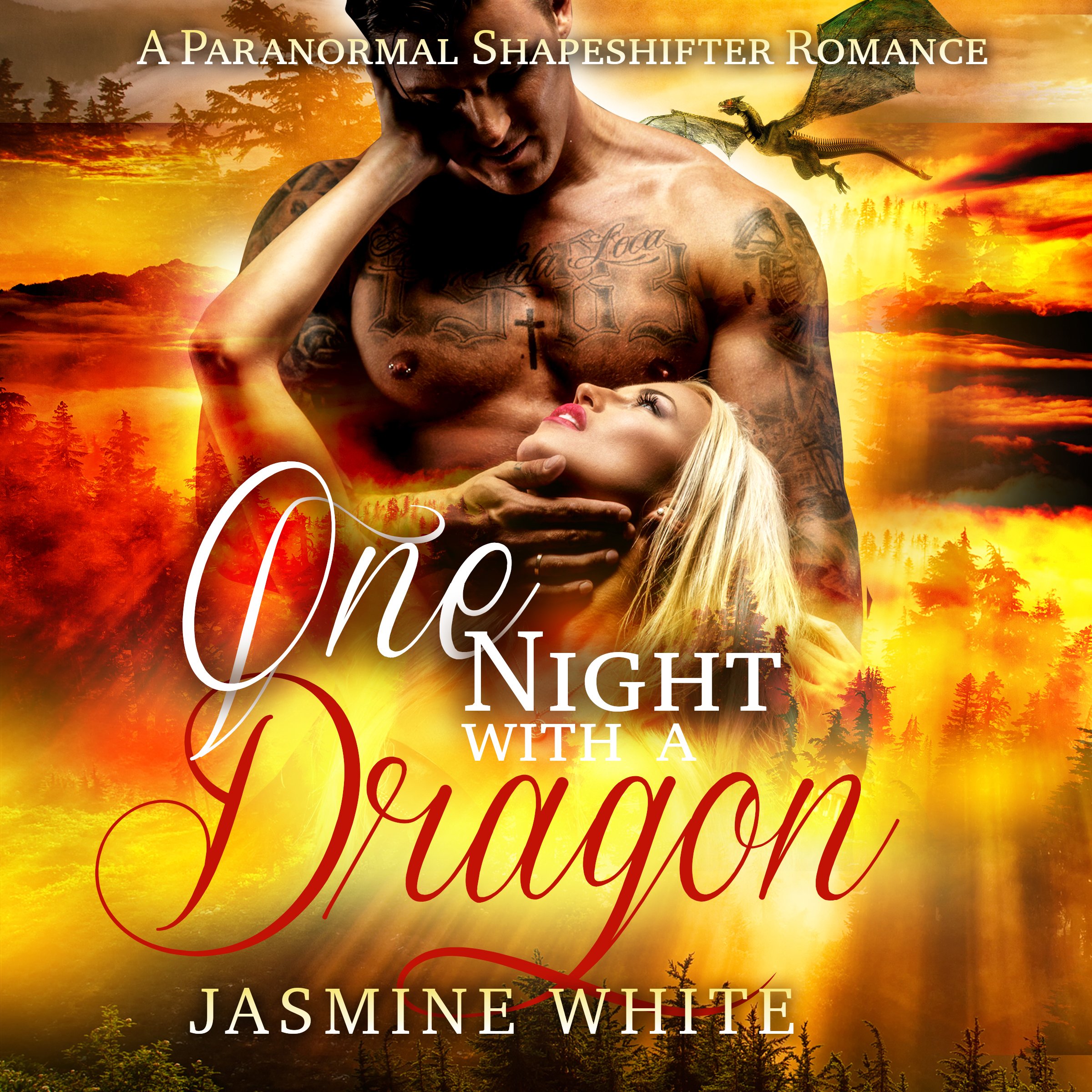 One Night with a Dragon