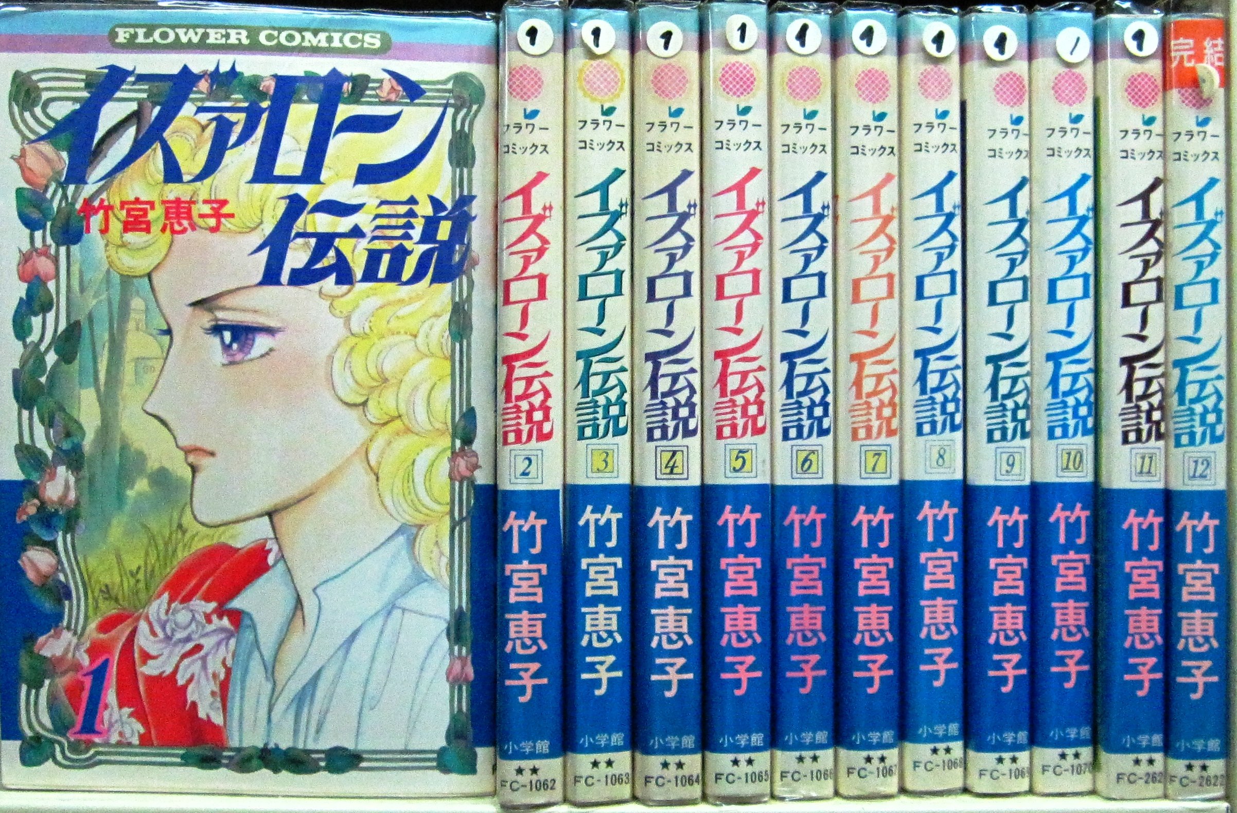 イズァローン伝説 全12巻完結セット (フラワーコミックス) [ コミックセット] 916QkcJ8VWL.jpg