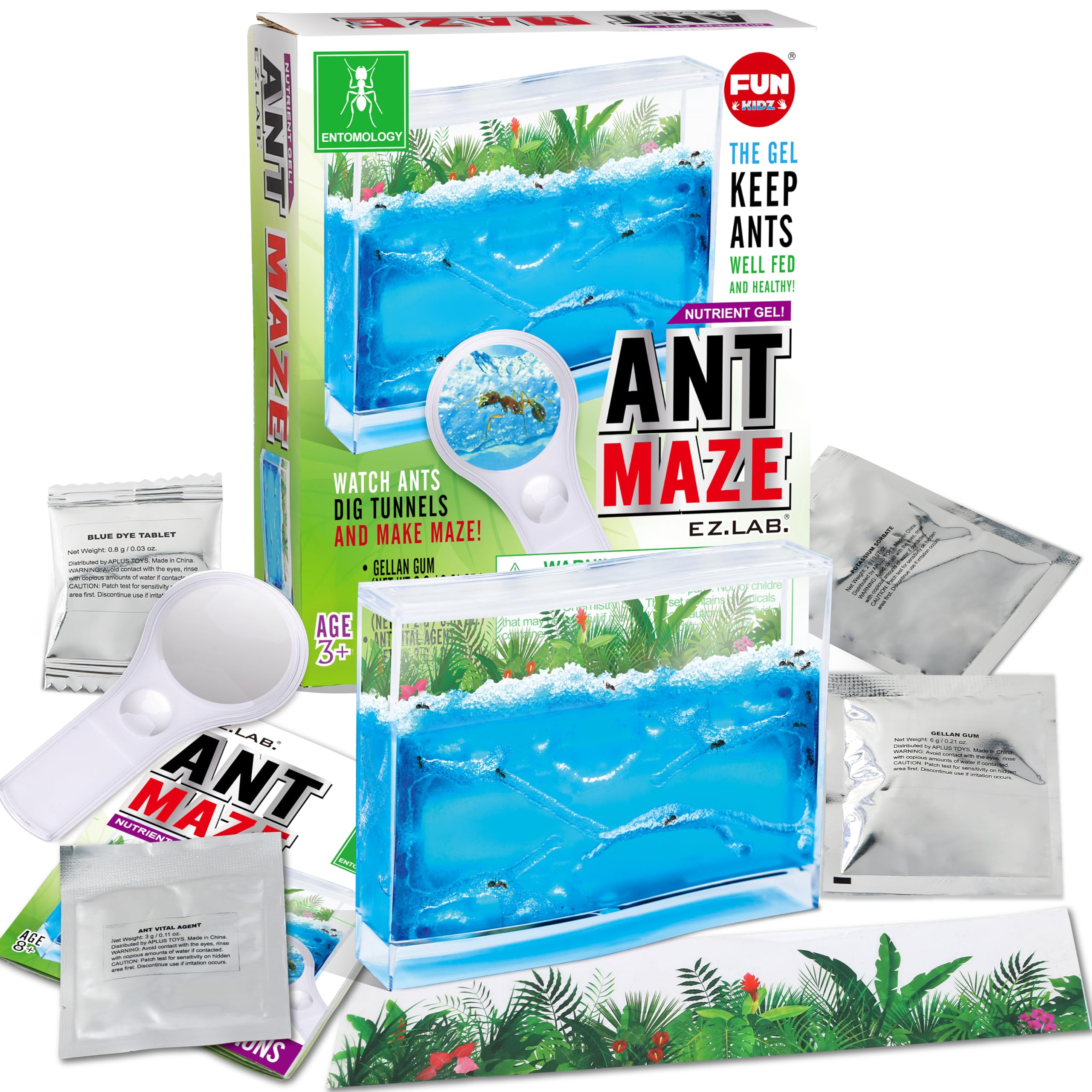 Amazon.com: Science Ant Farm Kit for Live Ants, FunKidz Ant Colony