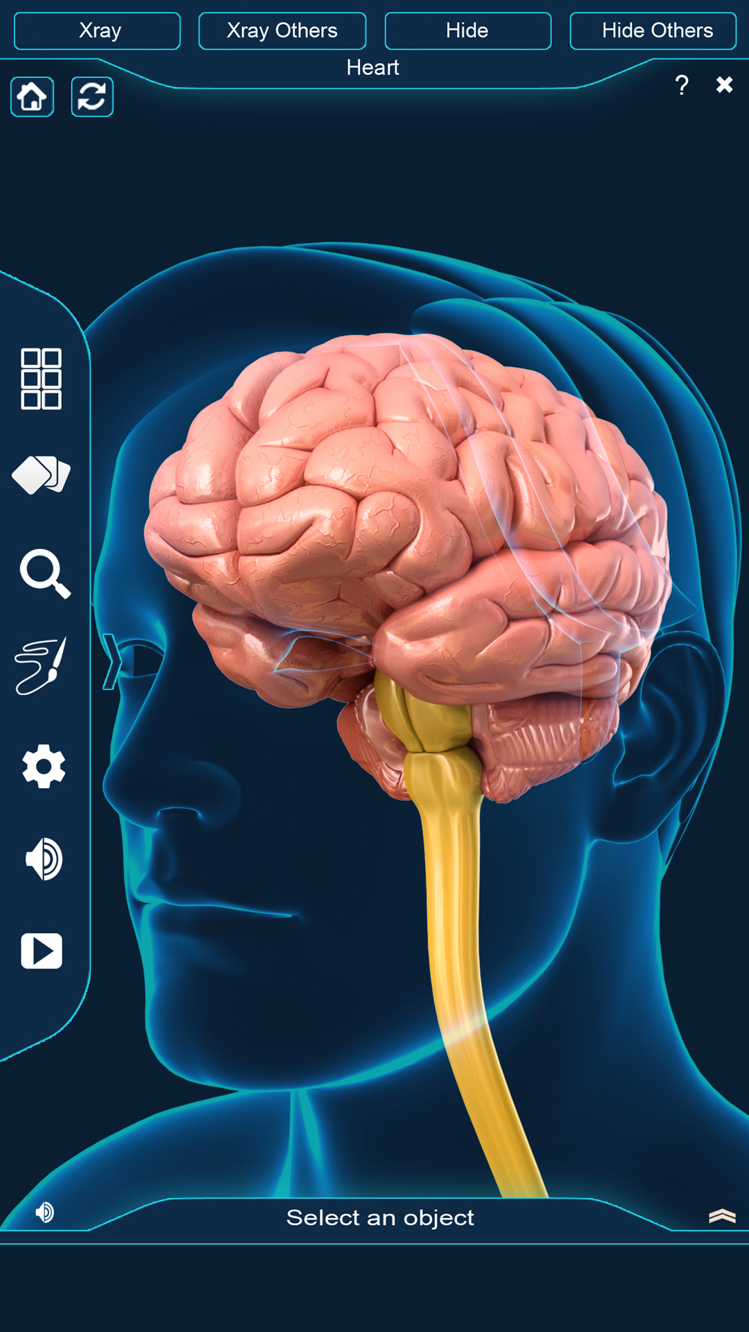 Brain Anatomy Pro. - App on Amazon Appstore