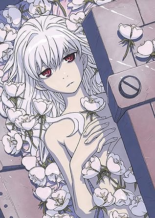 Amazon Com Darker Than Black 流星の双子 4 Dvd Movies Tv