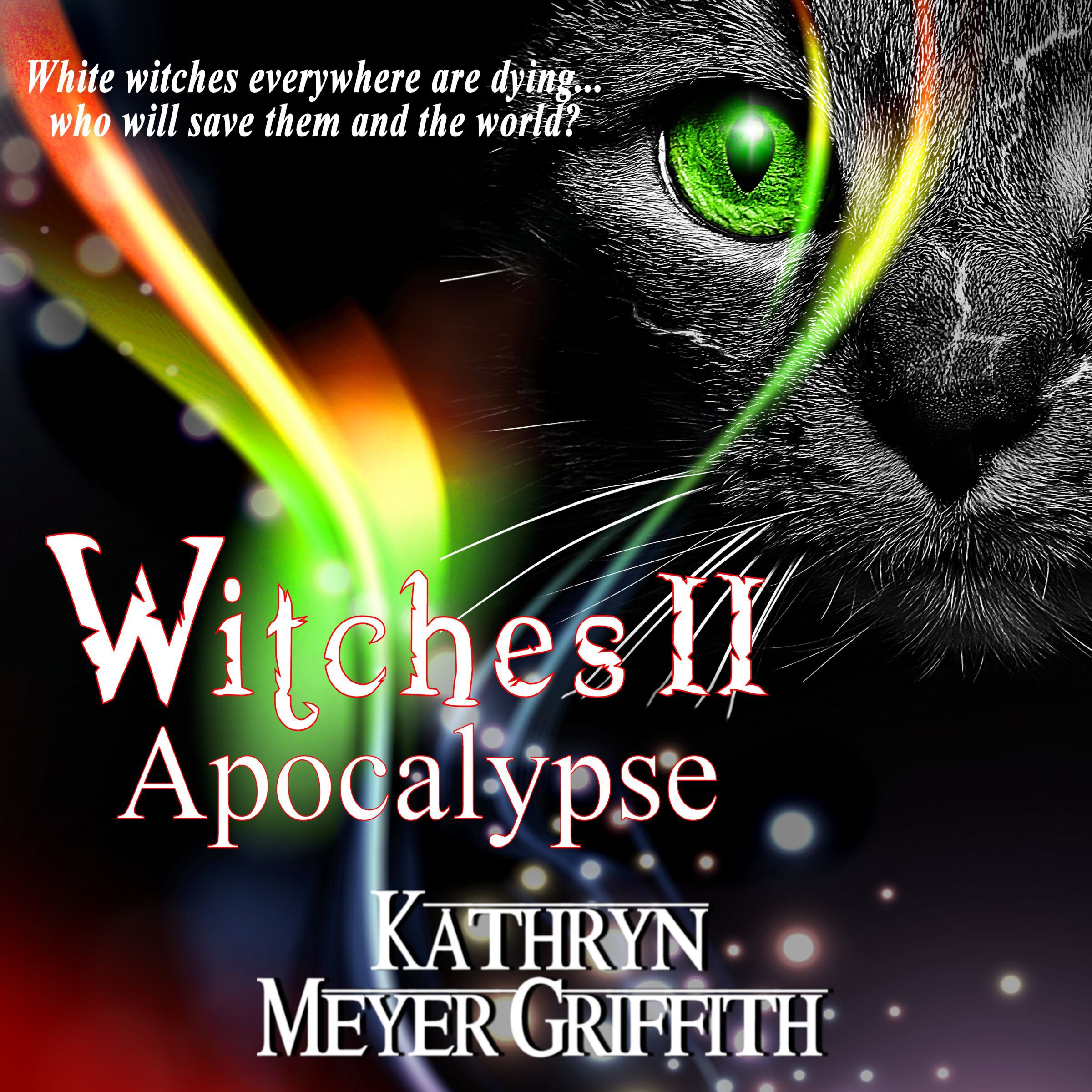Cover art for Witches II: Apocalypse
