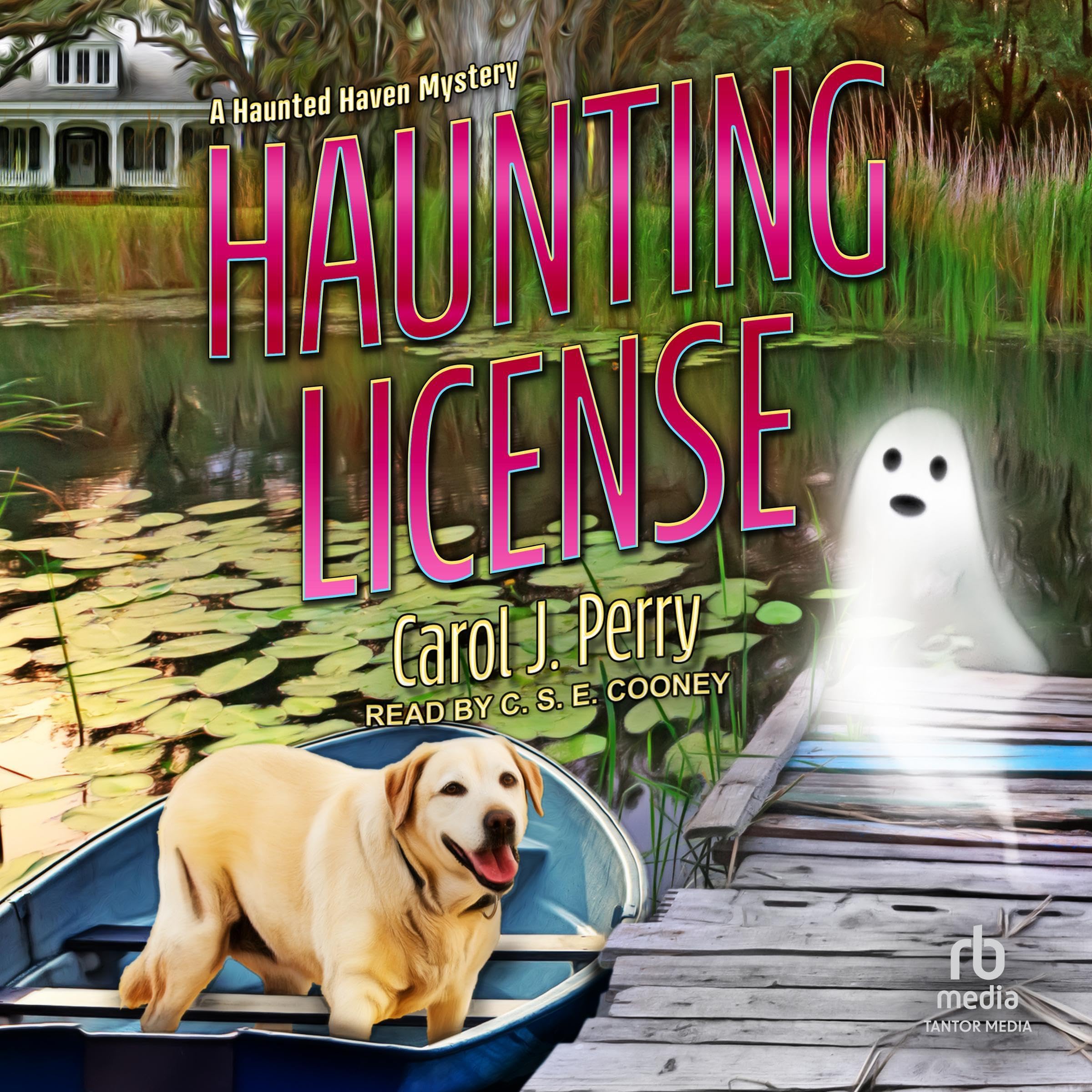 Cover art for Haunting License