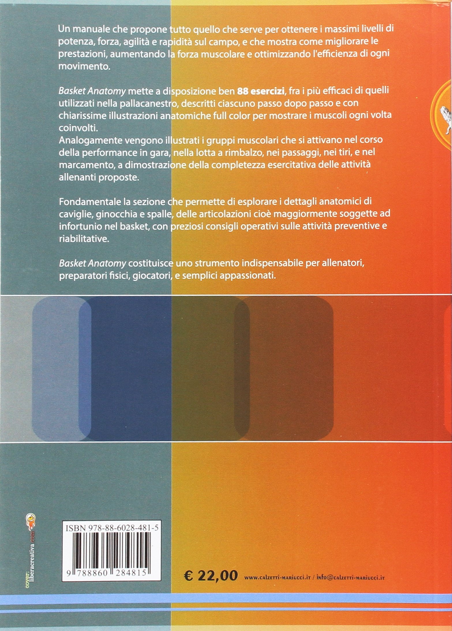 Basket anatomy. 88 esercizi con descrizione tecnica ed analisi anatomica: 1