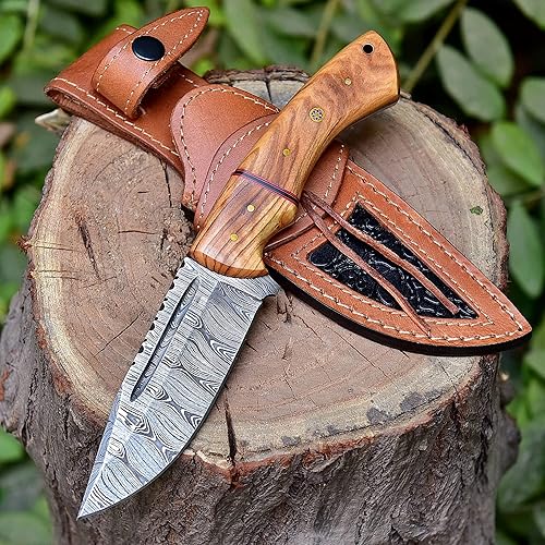 Cuchillo de hoja fija de acero de Damasco hecho a mano con funda de cuero, mango de madera de olivo – 9.75 pulgadas de longitud cuchillo multiusos