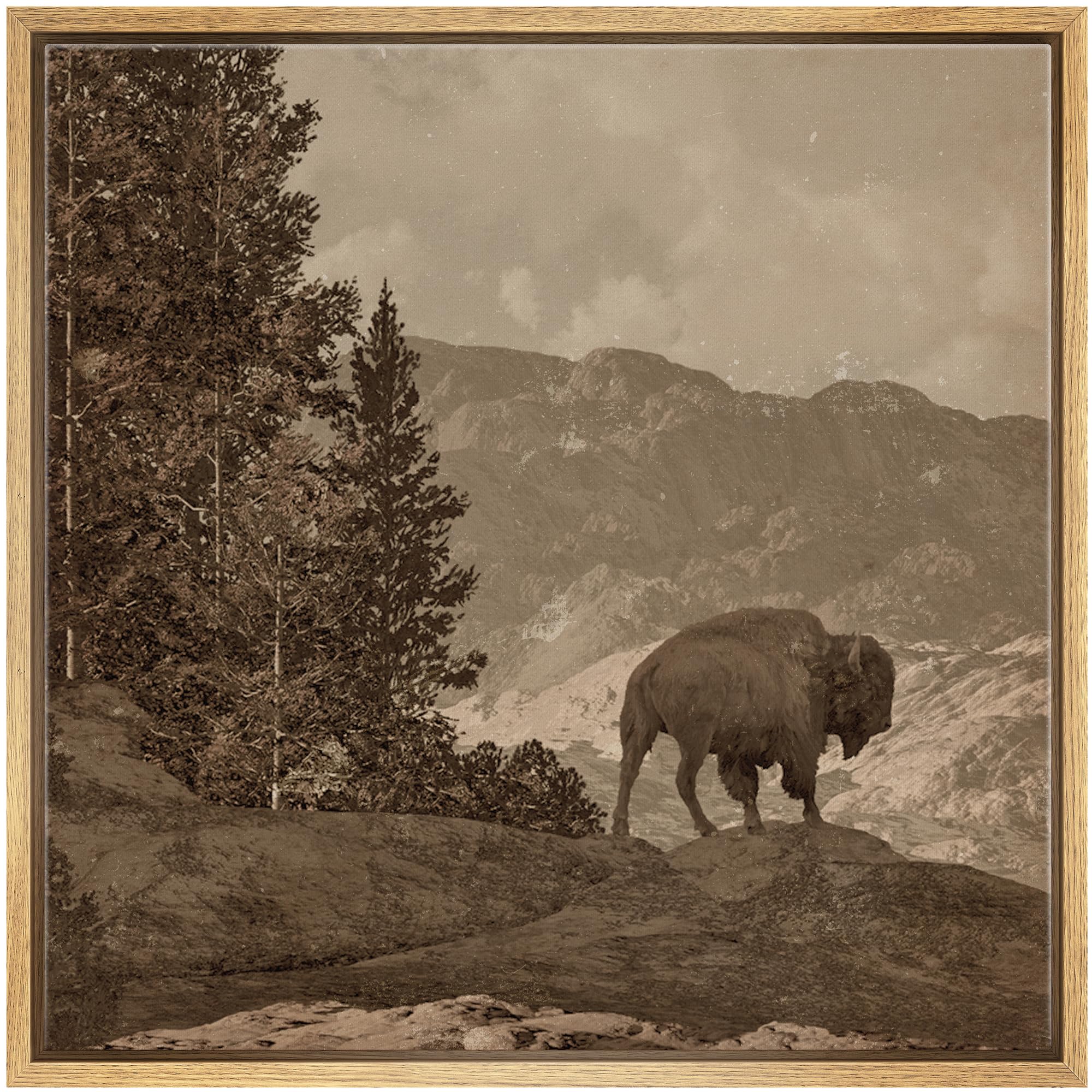 Amazon.com: SIGNFORD Framed Canvas Print Wall Art Vintage