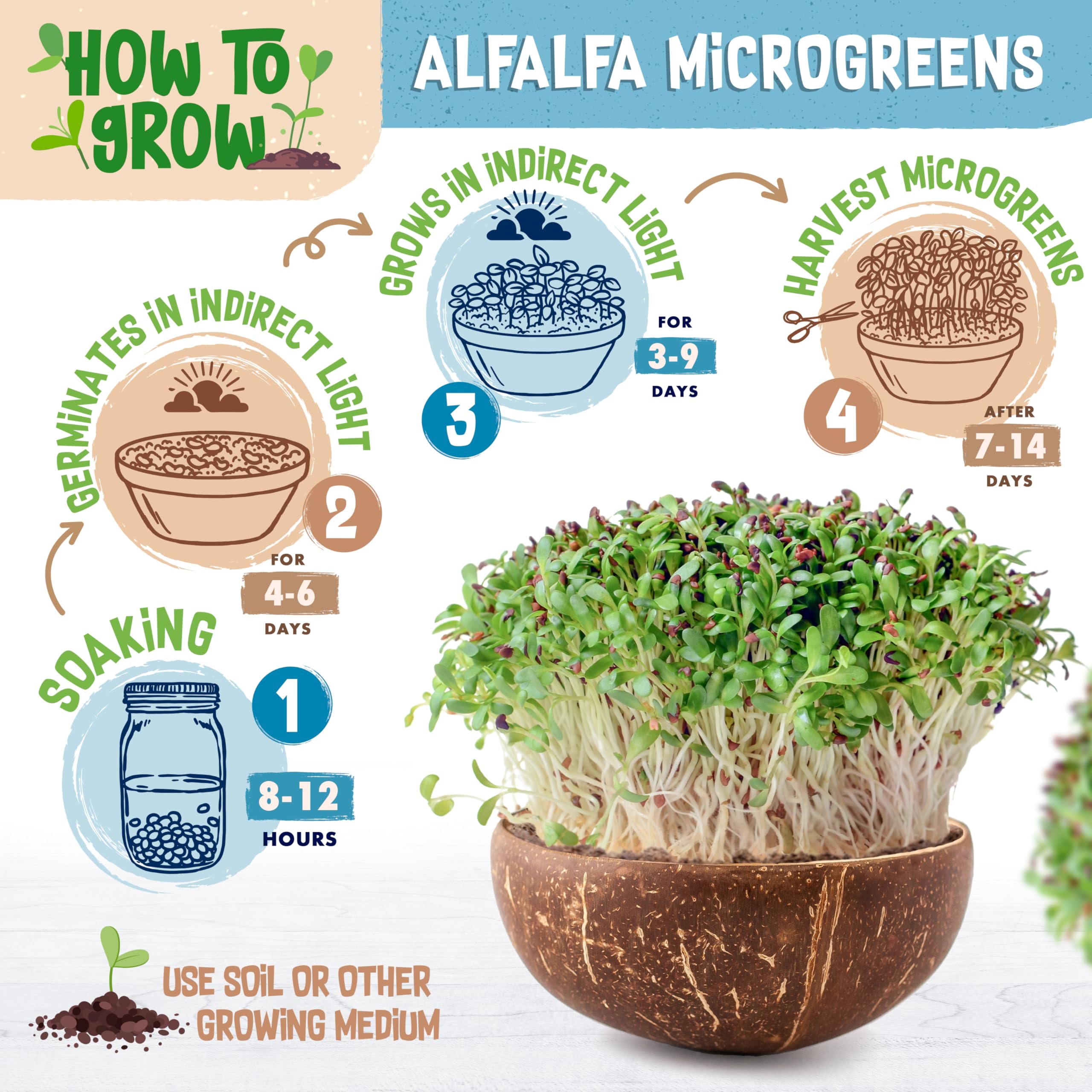 ZenGreens® - Organiczne nasiona lucerny - Wybierz pomiędzy 10, 200 g i 500 - nasiona lucerny o zdolności kiełkowania ponad 97% - nasiona lucerny kiełki