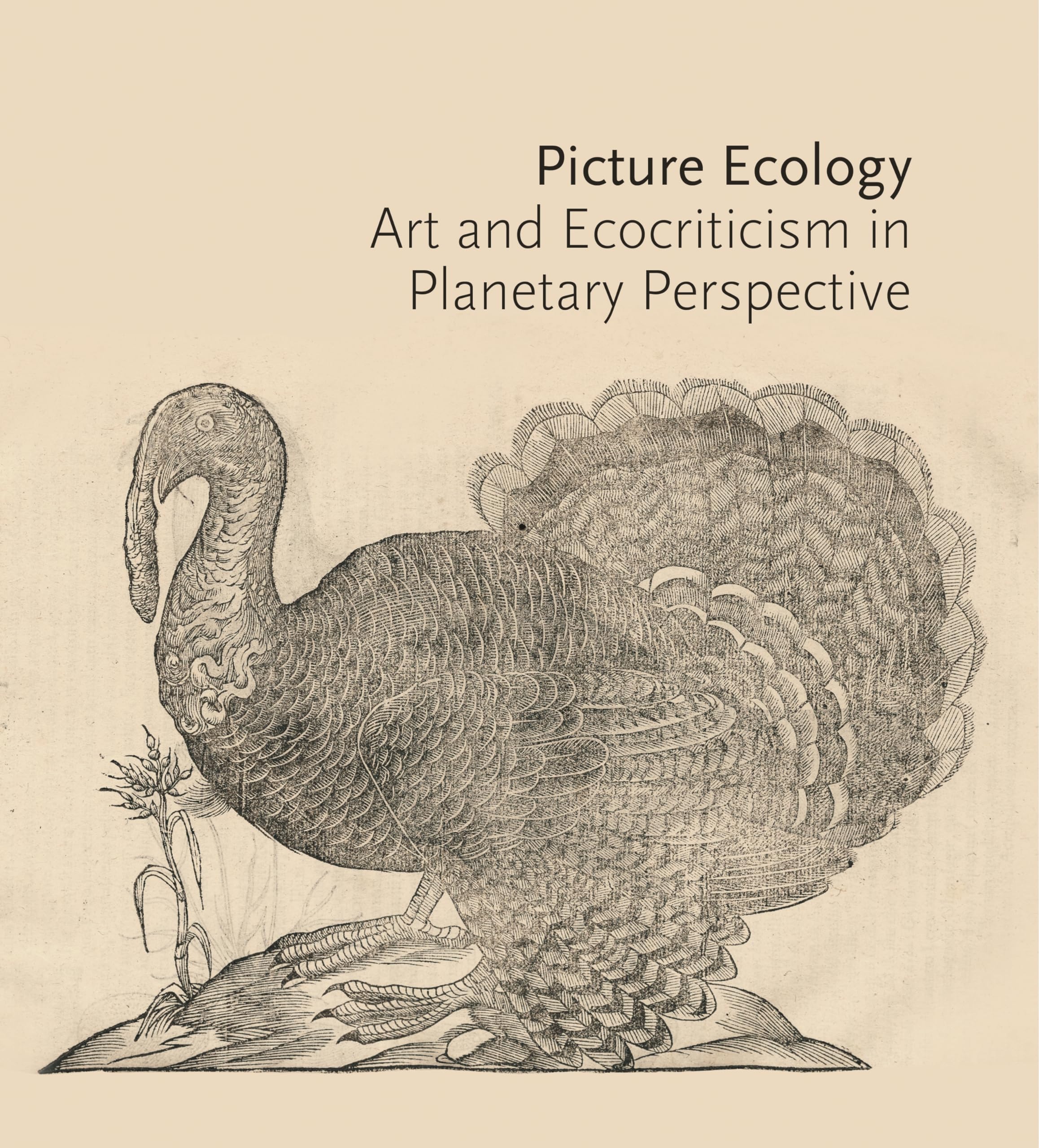 Picture Ecology Art and Ecocriticism in Planetary Perspective (Paperback Book)