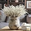 Product Photo 9