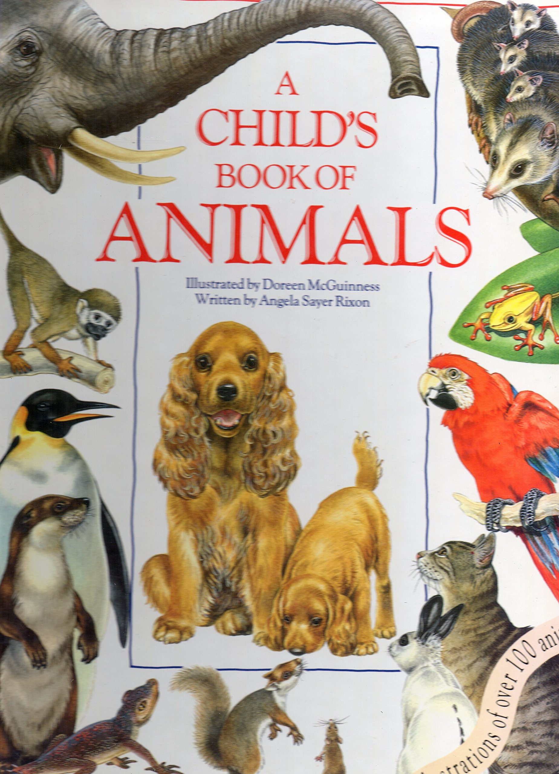 Childs Book of Animals