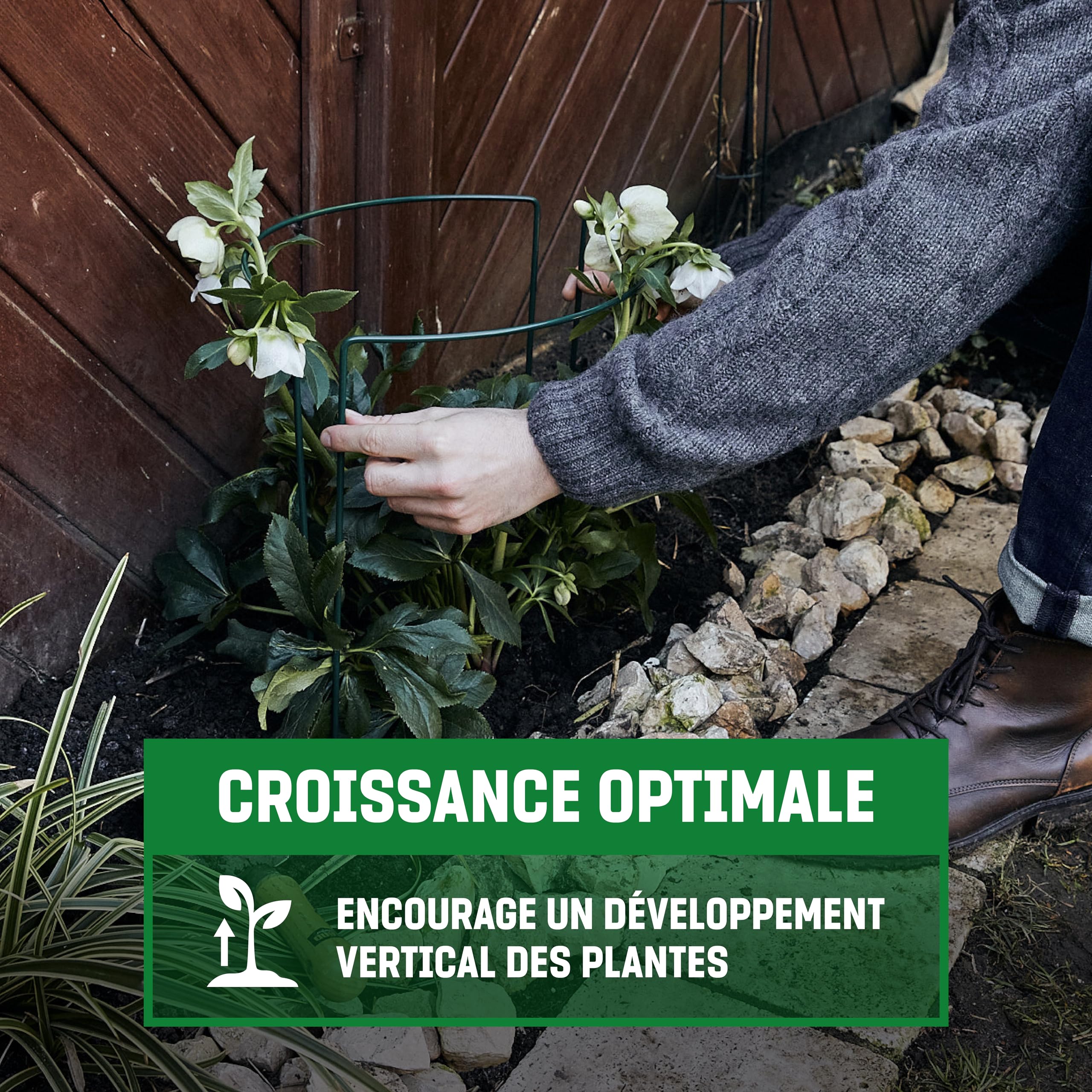 GardenGloss Kit de 10 Tuteur Plante (70cm x 40cm) - Supports pour Plantes Grimpantes et Fleurs - Aidez Vos Plantes à Pousser - Pieux à Hortensias, Pivoines, Plantes Vivaces et Plus