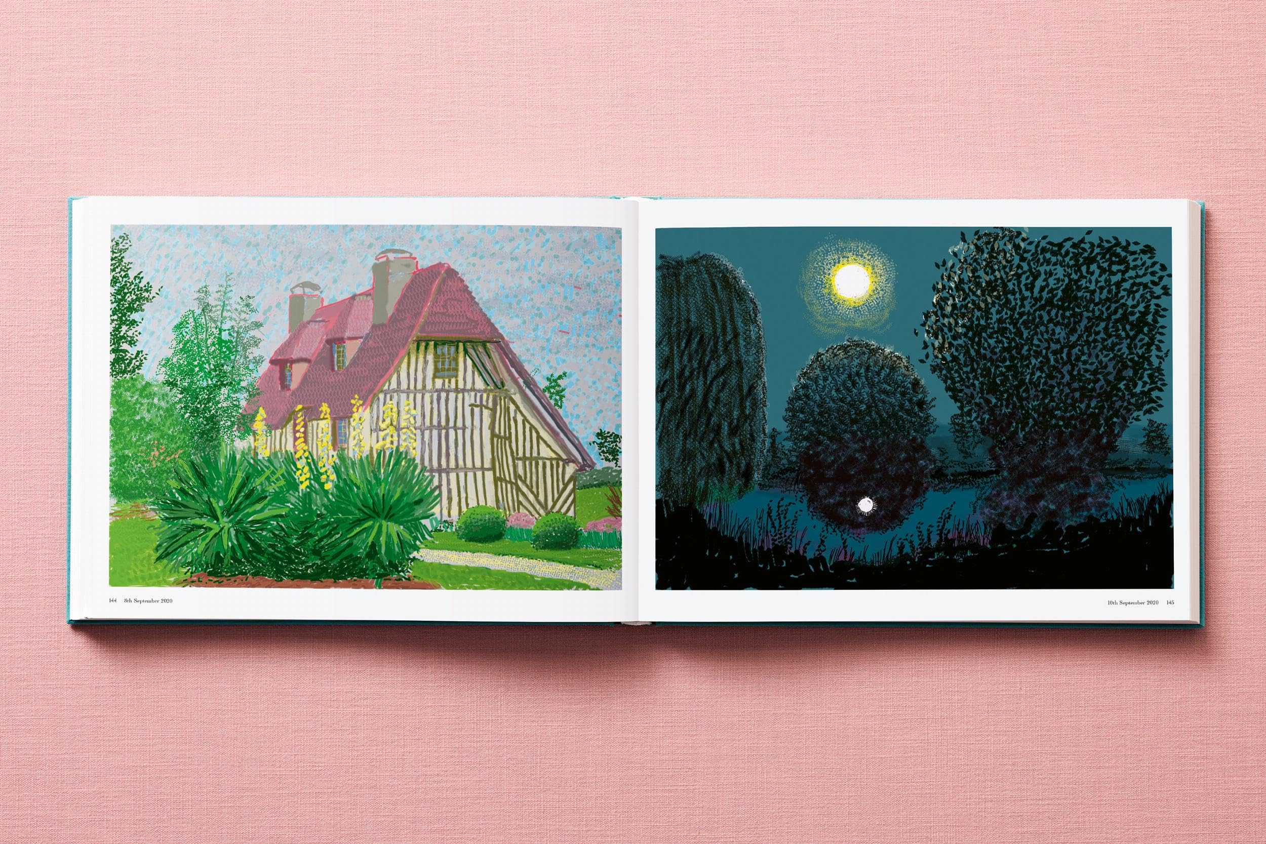 David Hockney: 220 for 2020