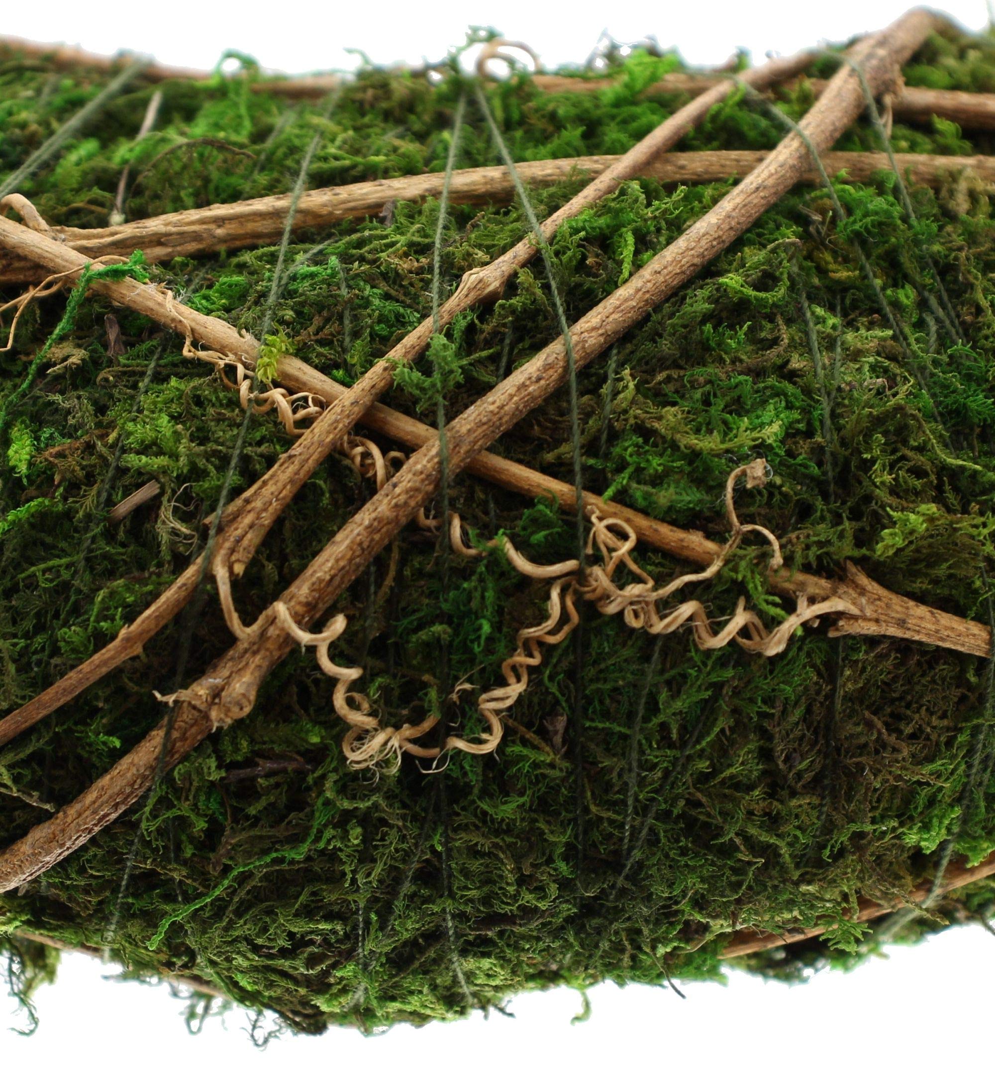 Ghirlanda Di Muschio Naturale: Corona Decorativa Ø 30x7 Cm, Base In Metallo, Per Avvento E Decorazione Casa - 4