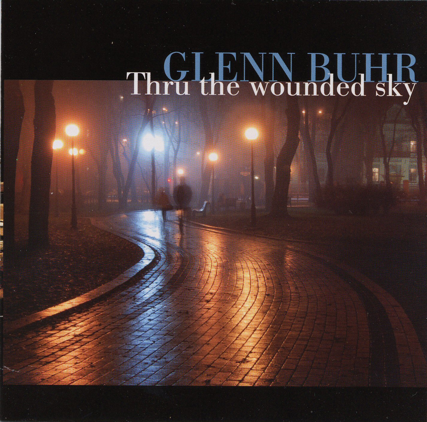 Thru the Wounded Sky [Audio CD] Glenn Buhr