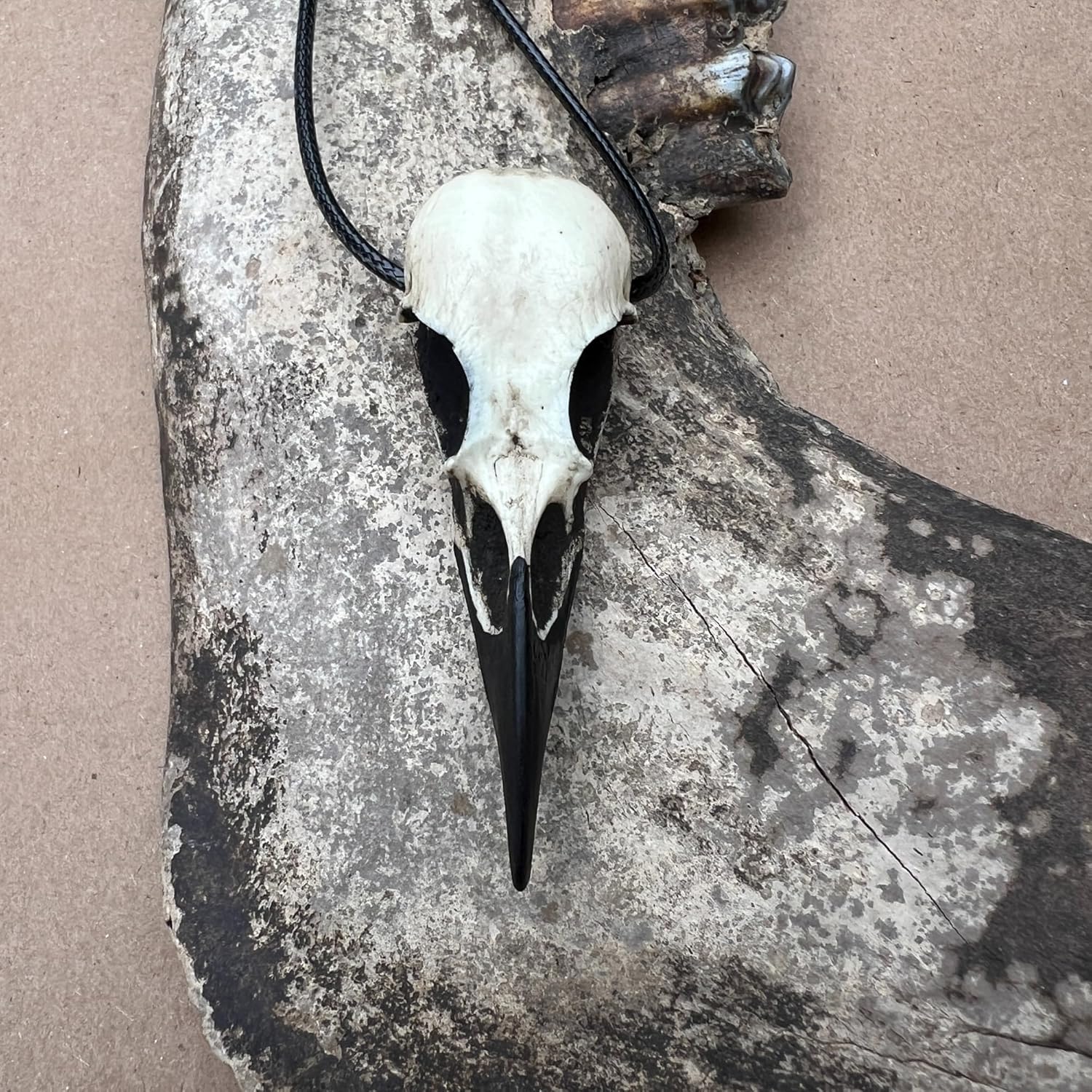 Bone Jewelry Gothic Raven Skull Necklace - Viking Resin Bird Skull Goth Gift - Image 8