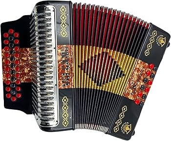 AIRE Trucha-BORON 86H フレディケーキ3 Amazon.com: Rossetti Accordion (R3112-FBE-VOLCANO) : Musical