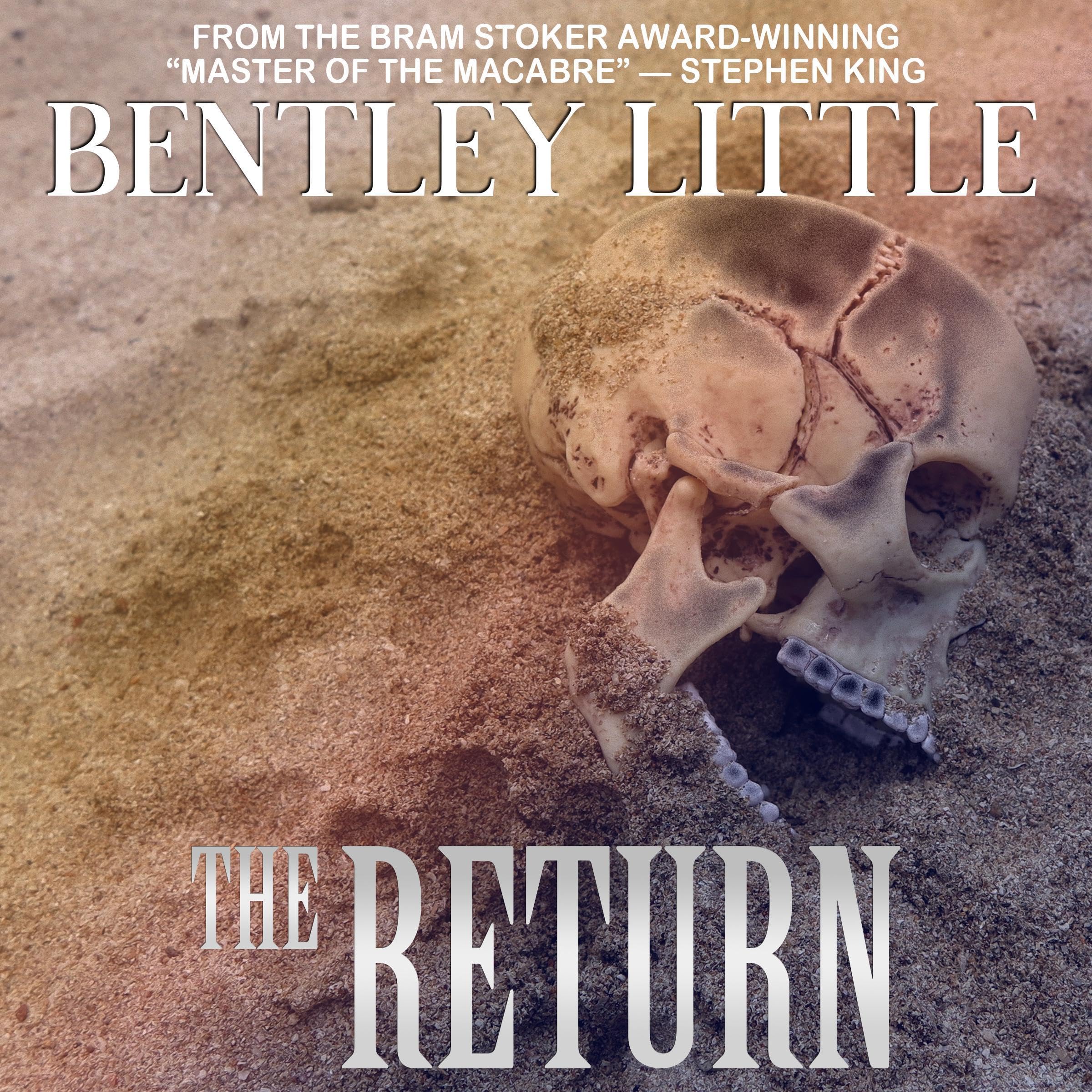 Cover art for The Return