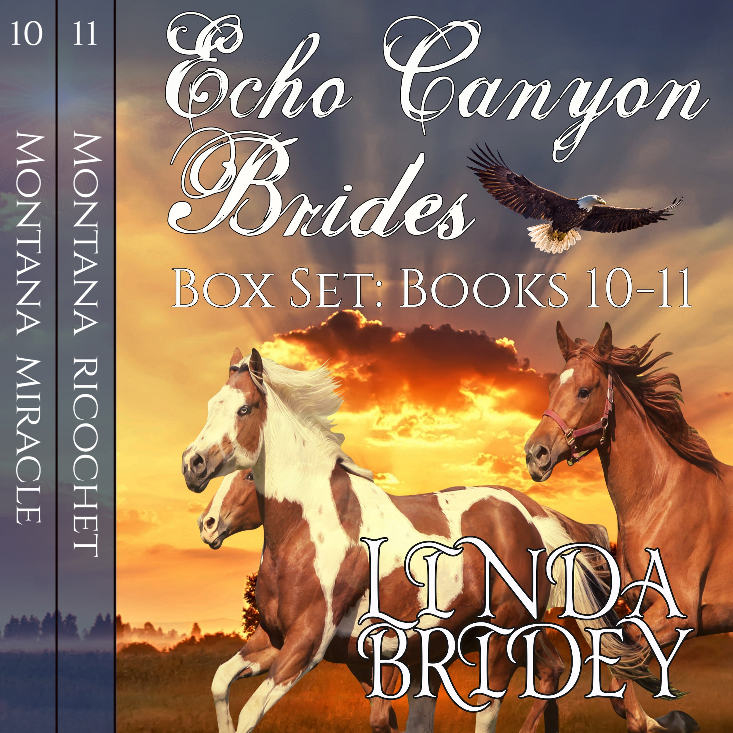 Cover art for Echo Canyon Brides Box Set Number 4